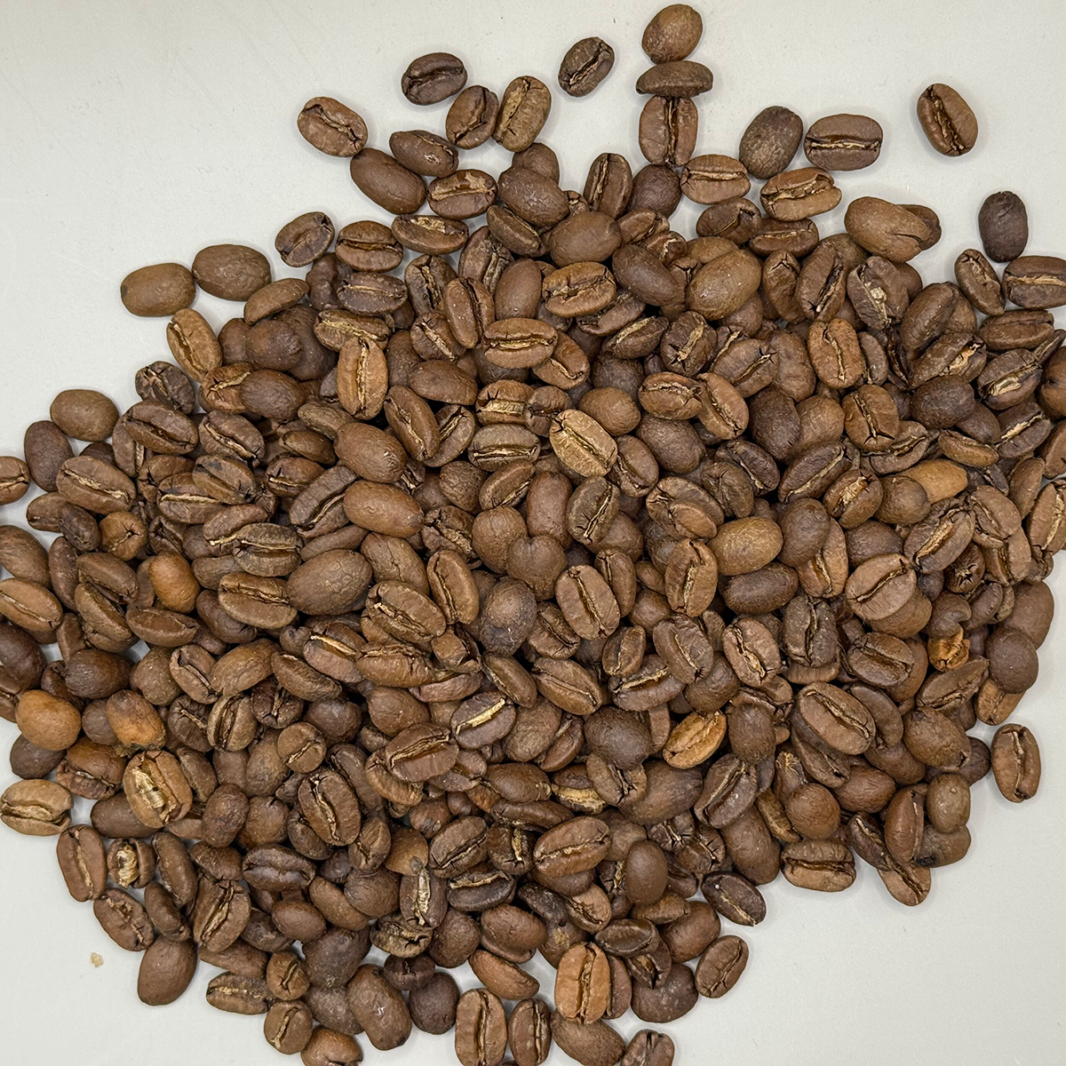 Overhead view of a Medium-roasted Dominican Republic Red Honey coffee beans with even brown color and smooth matte surface.