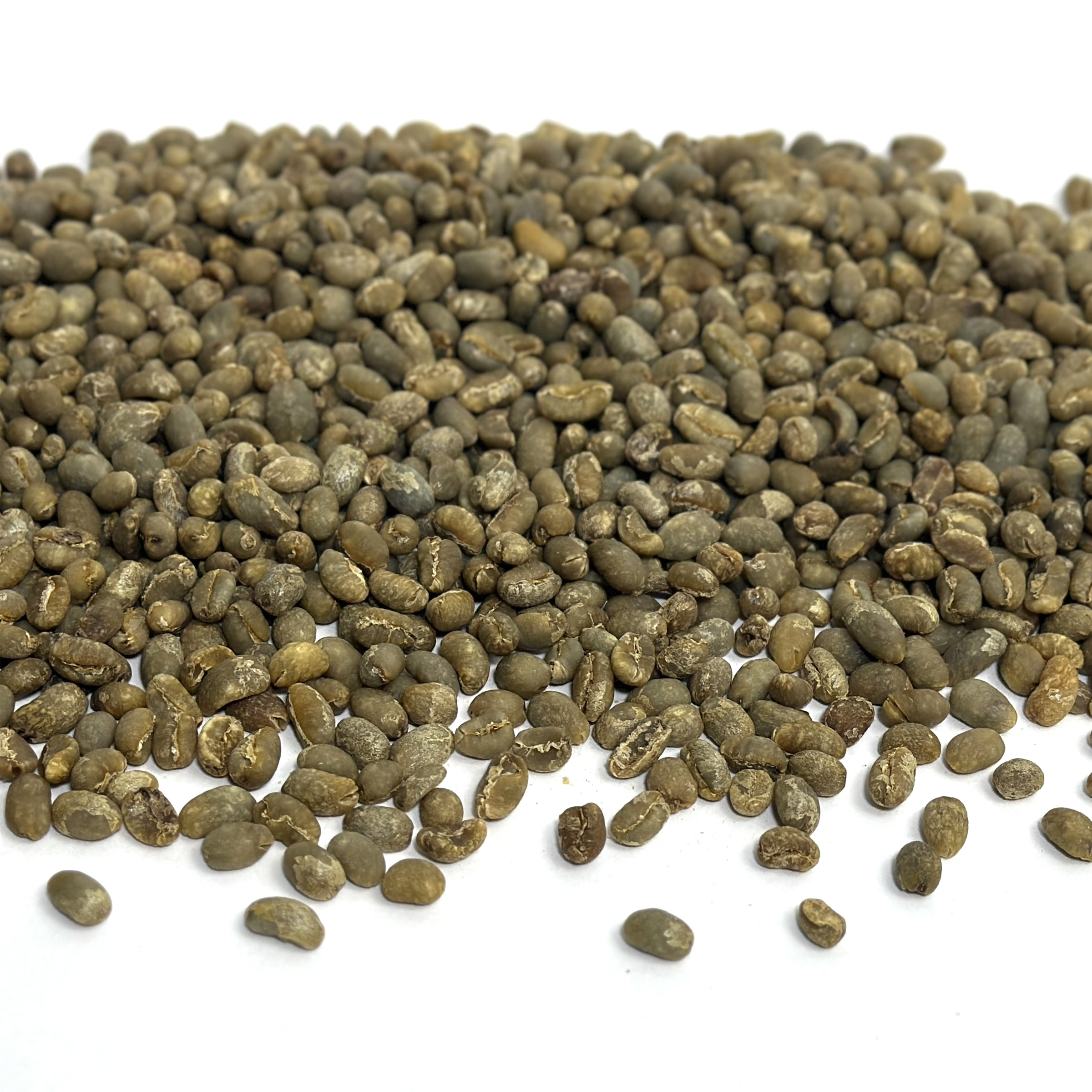 Sumatra: Raja Batak Peaberry, Lintong SUMRAJA