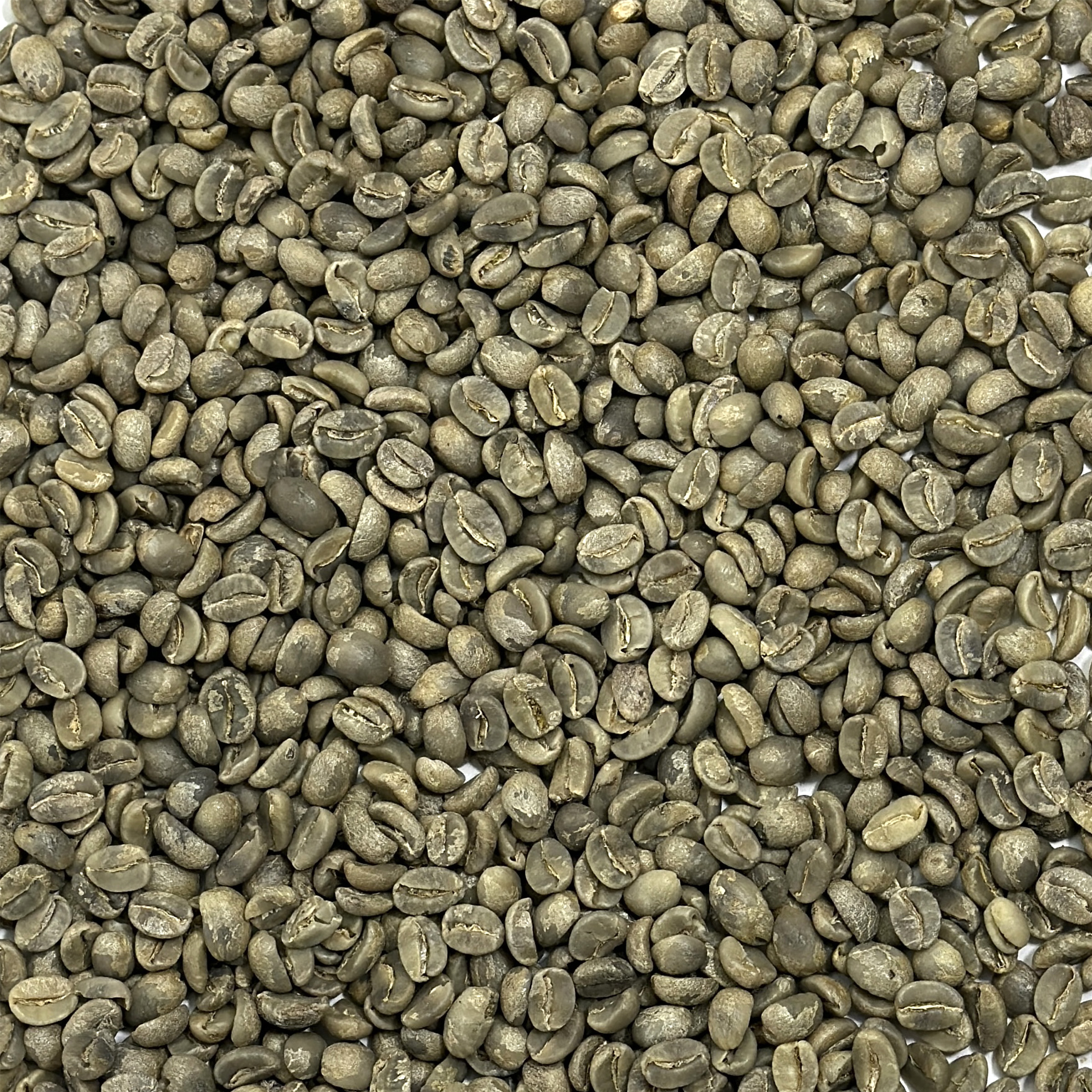 Haitian Blue Organic HAITBLUEORG