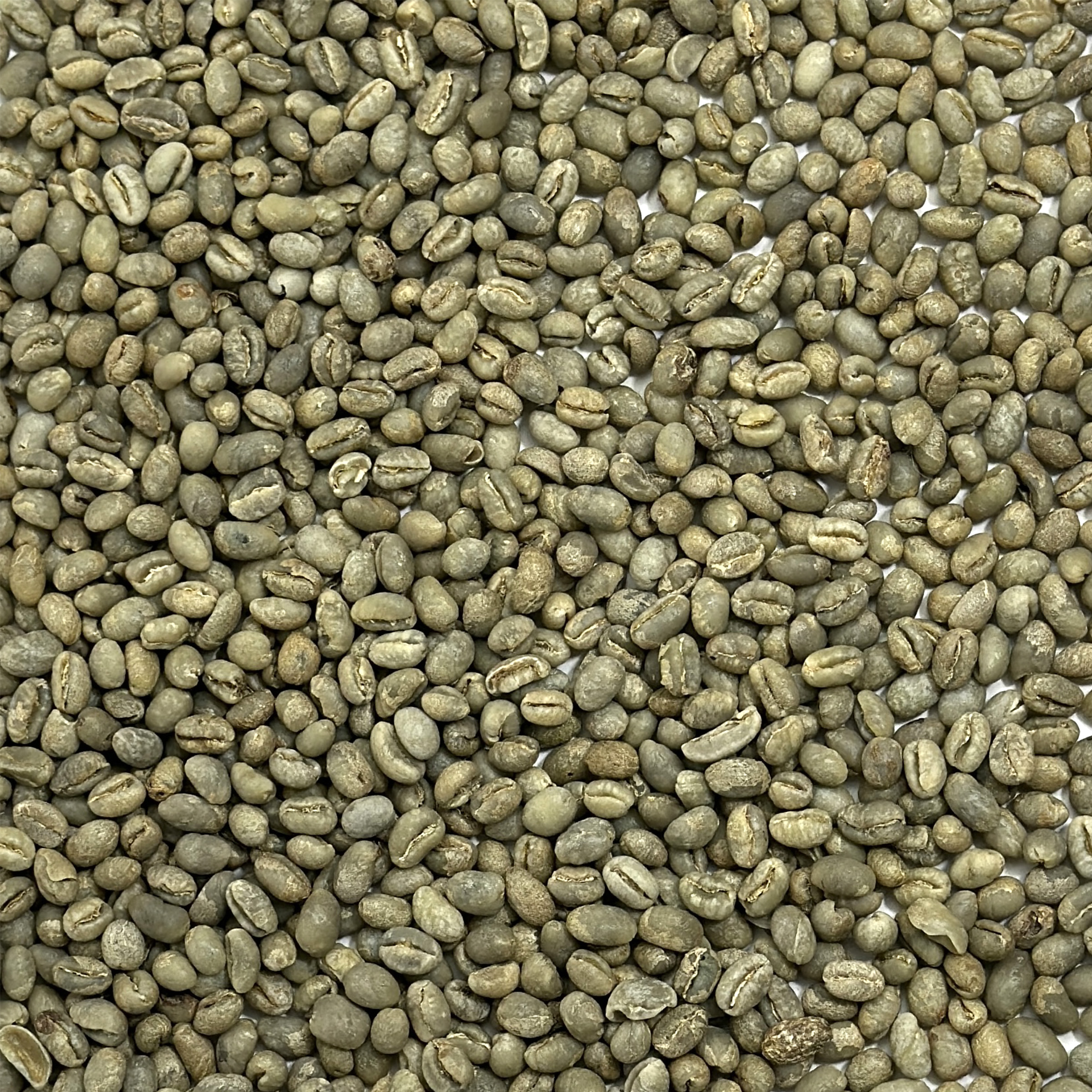 Kenya: Peaberry Plus 15/16, Kirinyaga County KENYAPBPLUS