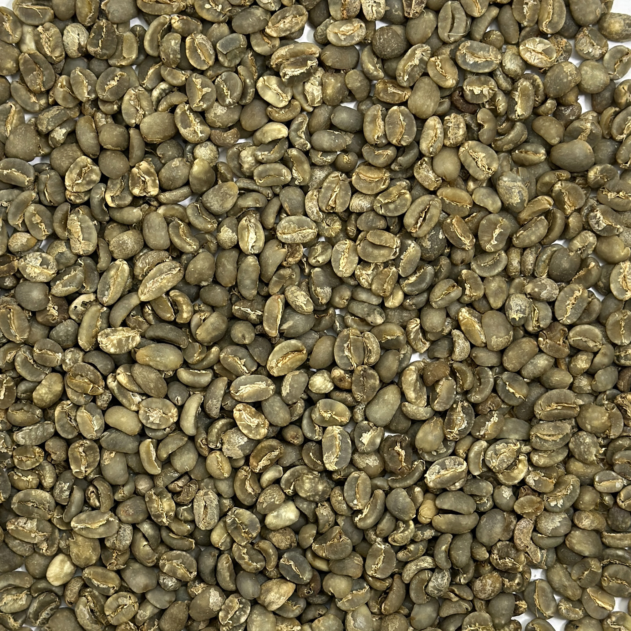 Sumatra: Mandheling G1, Aceh SUMMAN