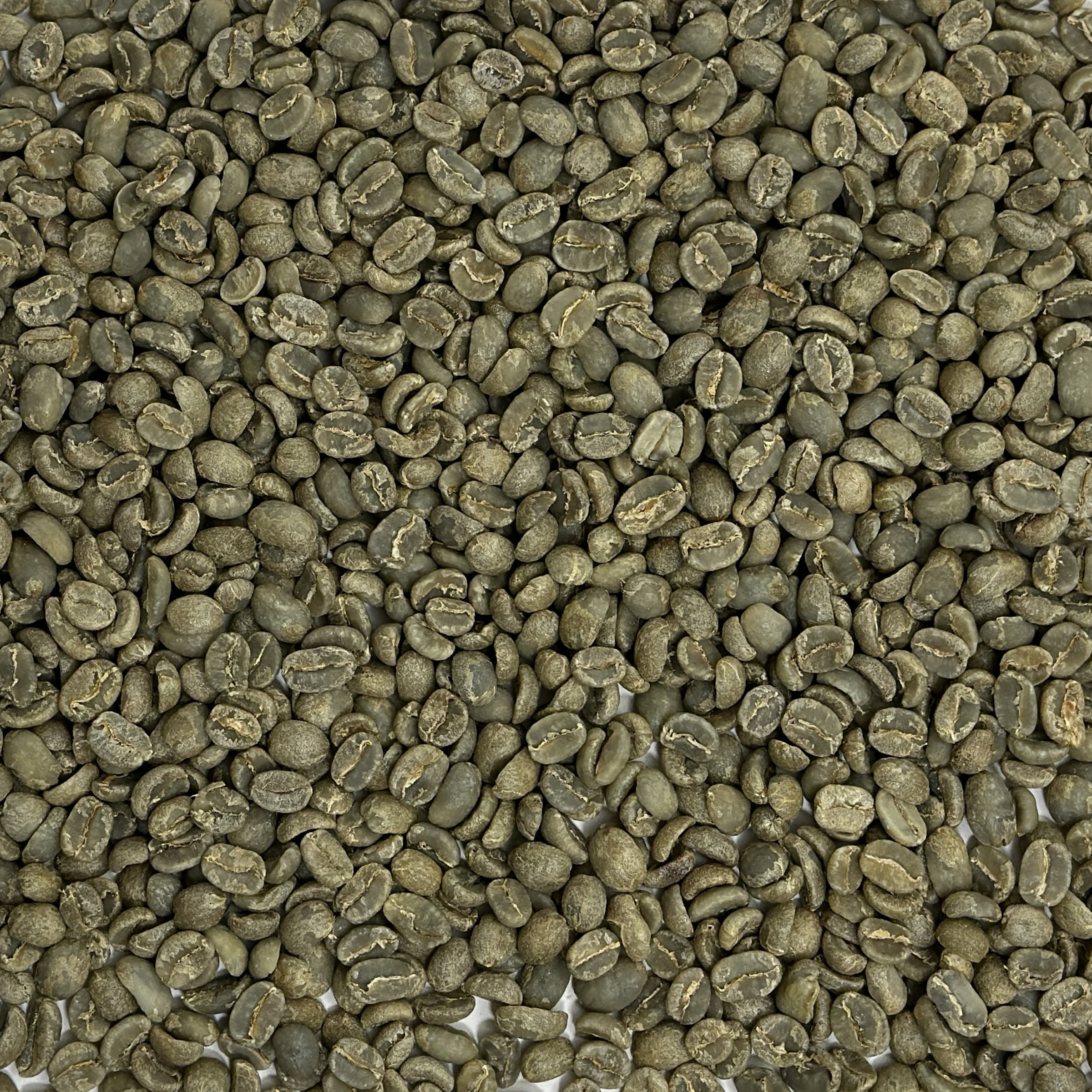 Guatemala HHT Finca Vallaure SHB GUATHHTVALLAURE