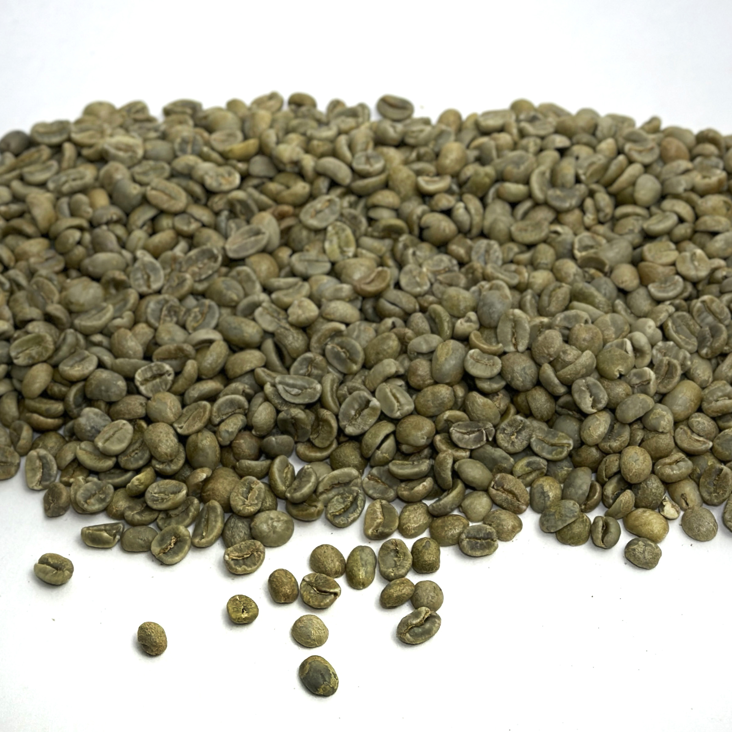 Costa Rica: La Magnolia, Tres Rios CRLAMAG