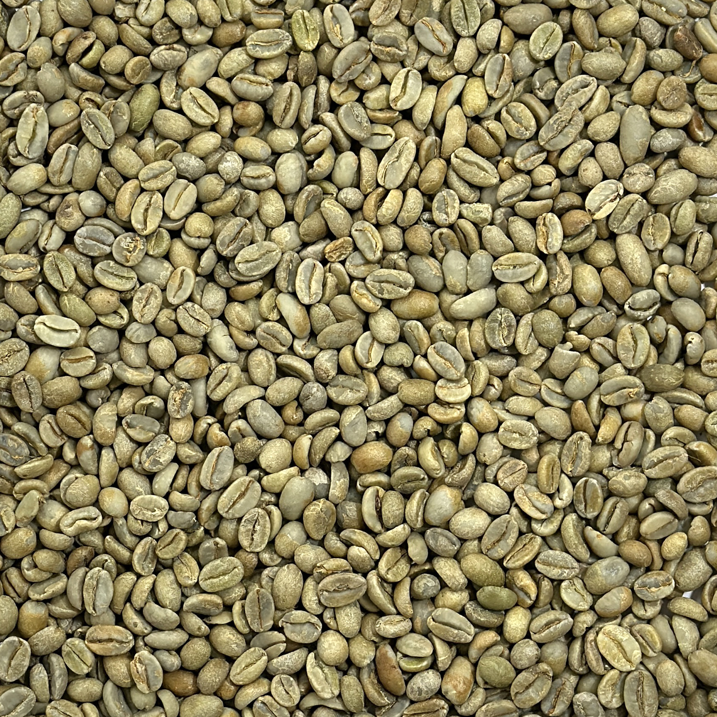 CBC Blend: Red Sea REDSEA