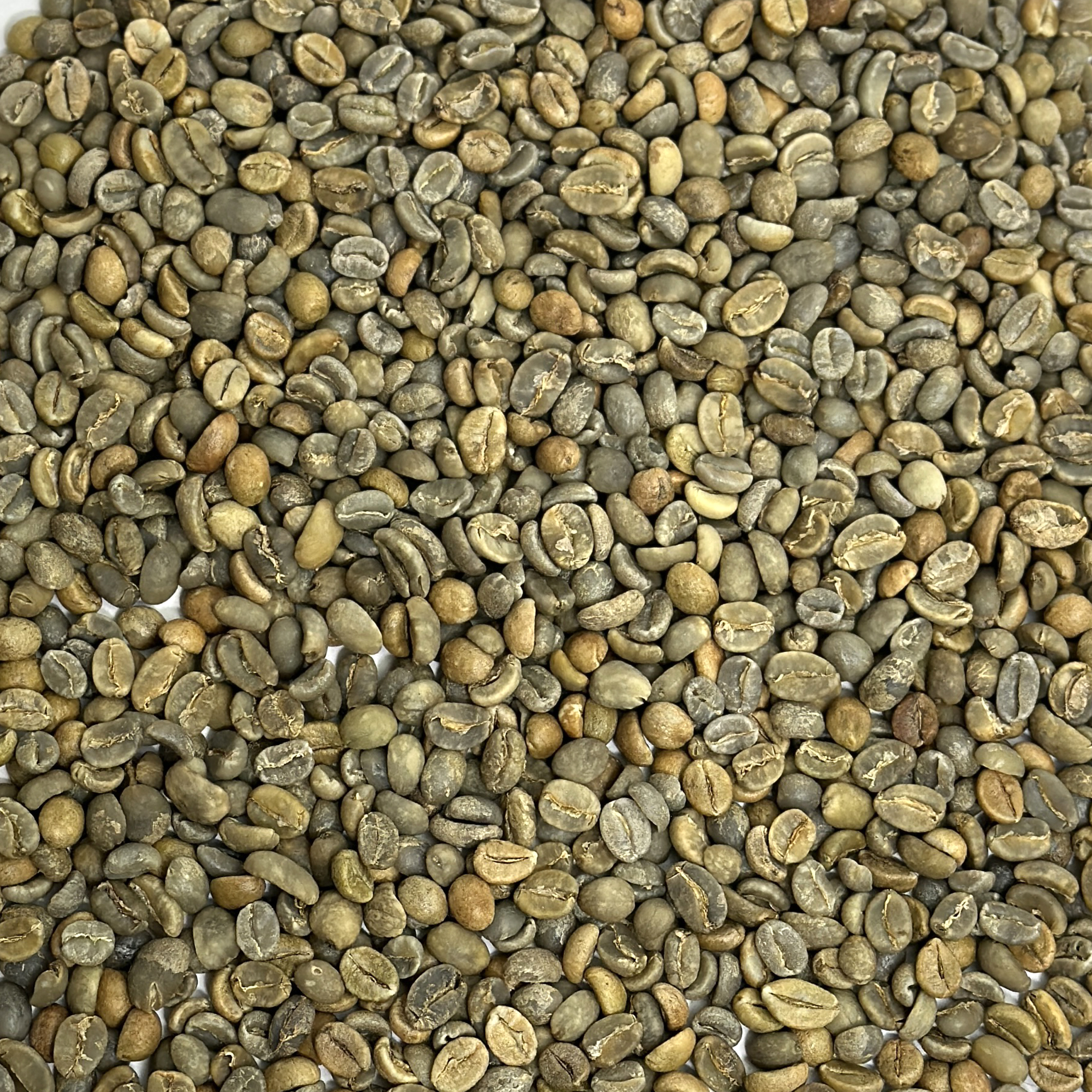 CBC Blend: High Octane Robusta Blend OCTANEBLEND