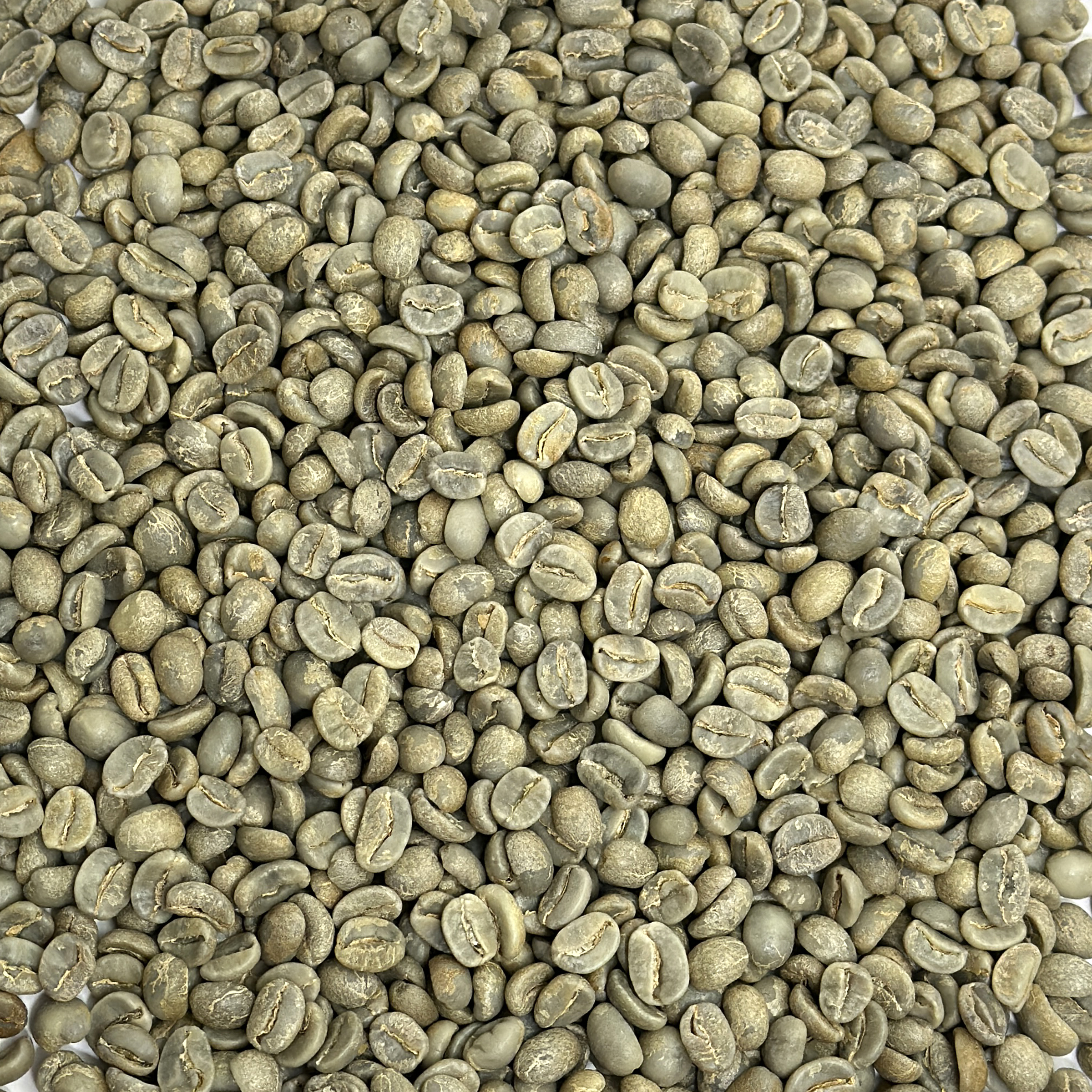 Bolivian Organic - Colonial Caranavi FT BOLOCOL