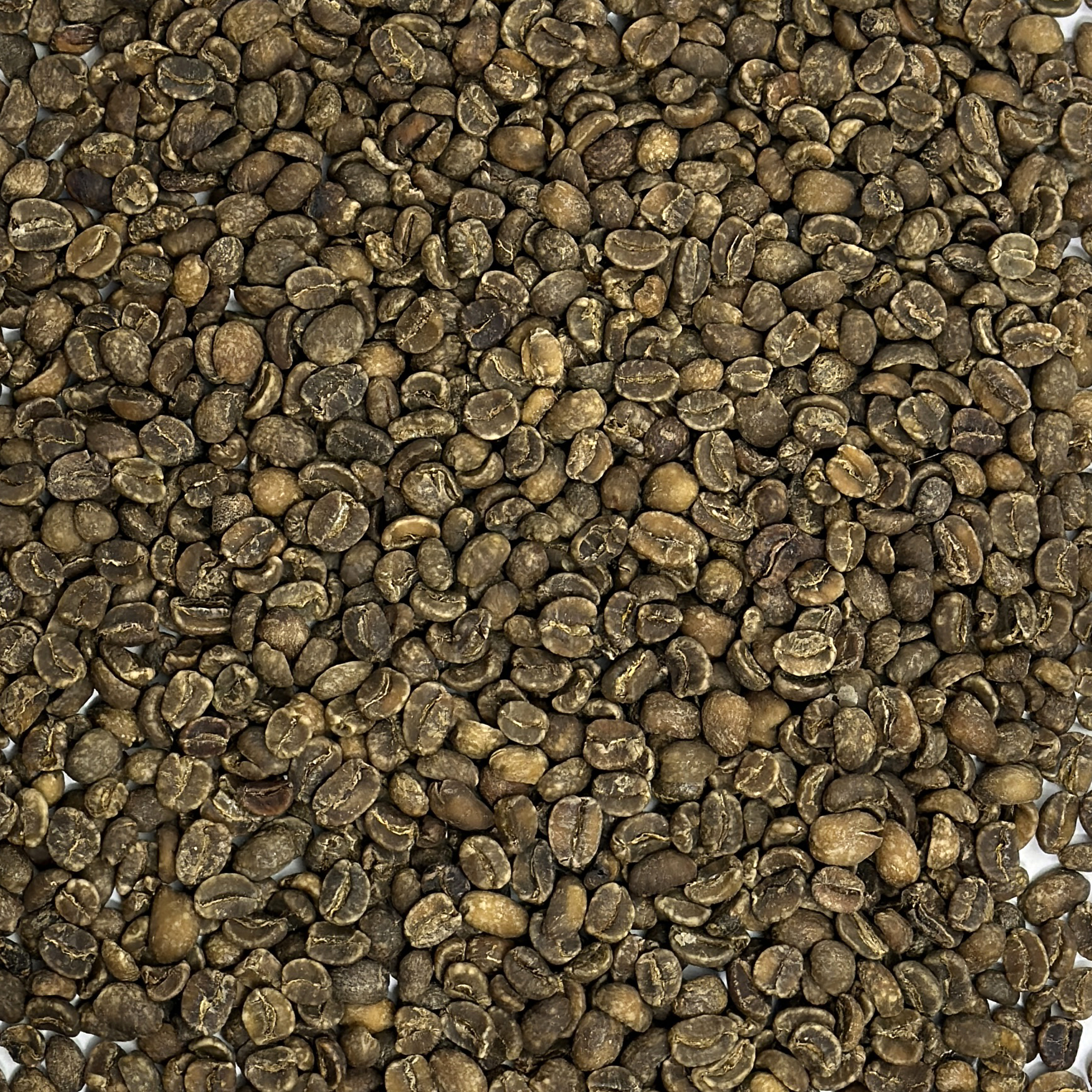 Guatemala Organic HHT Royal Select MWP Decaf - FTO