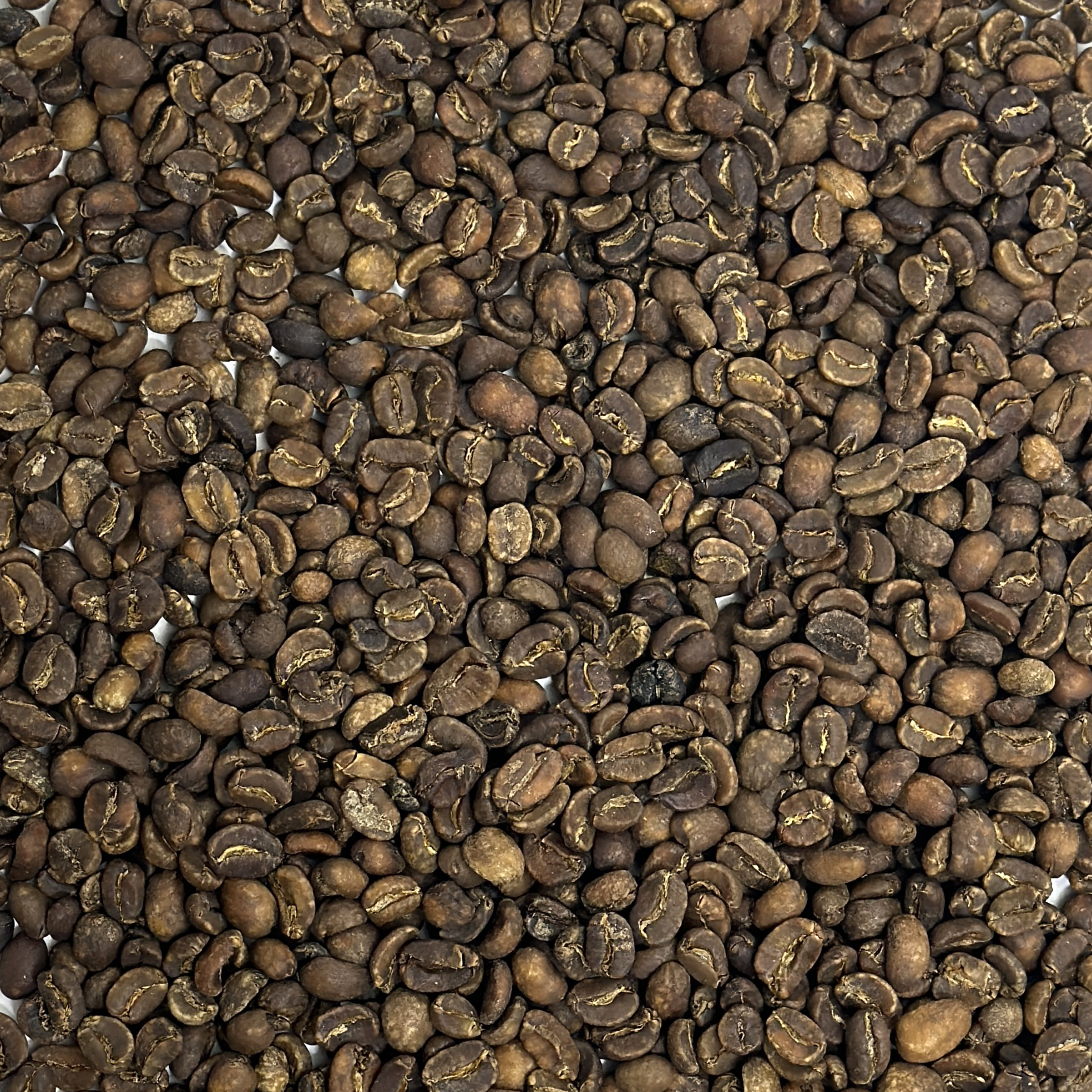 Sumatra Royal Select Decaf SUMRSDECAF