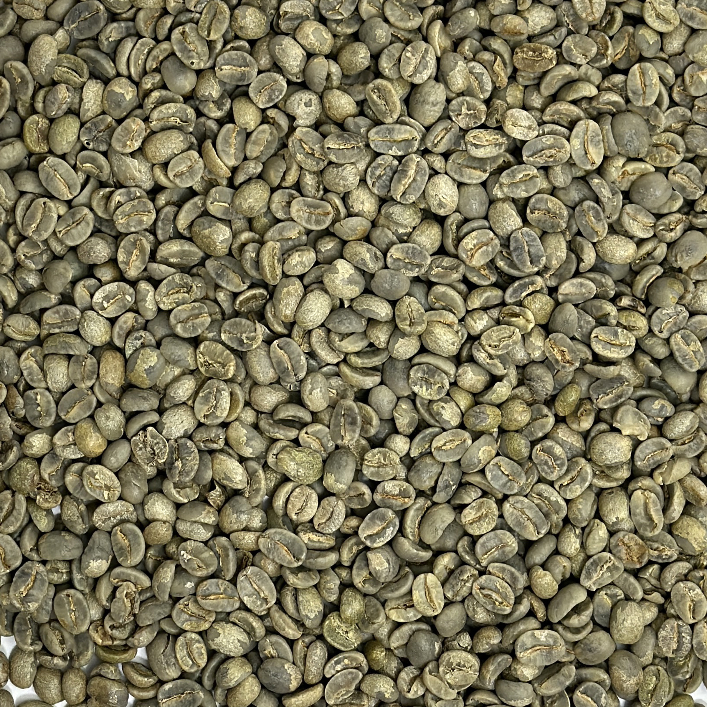 Brazil Bela Vista Yellow Bourbon Washed