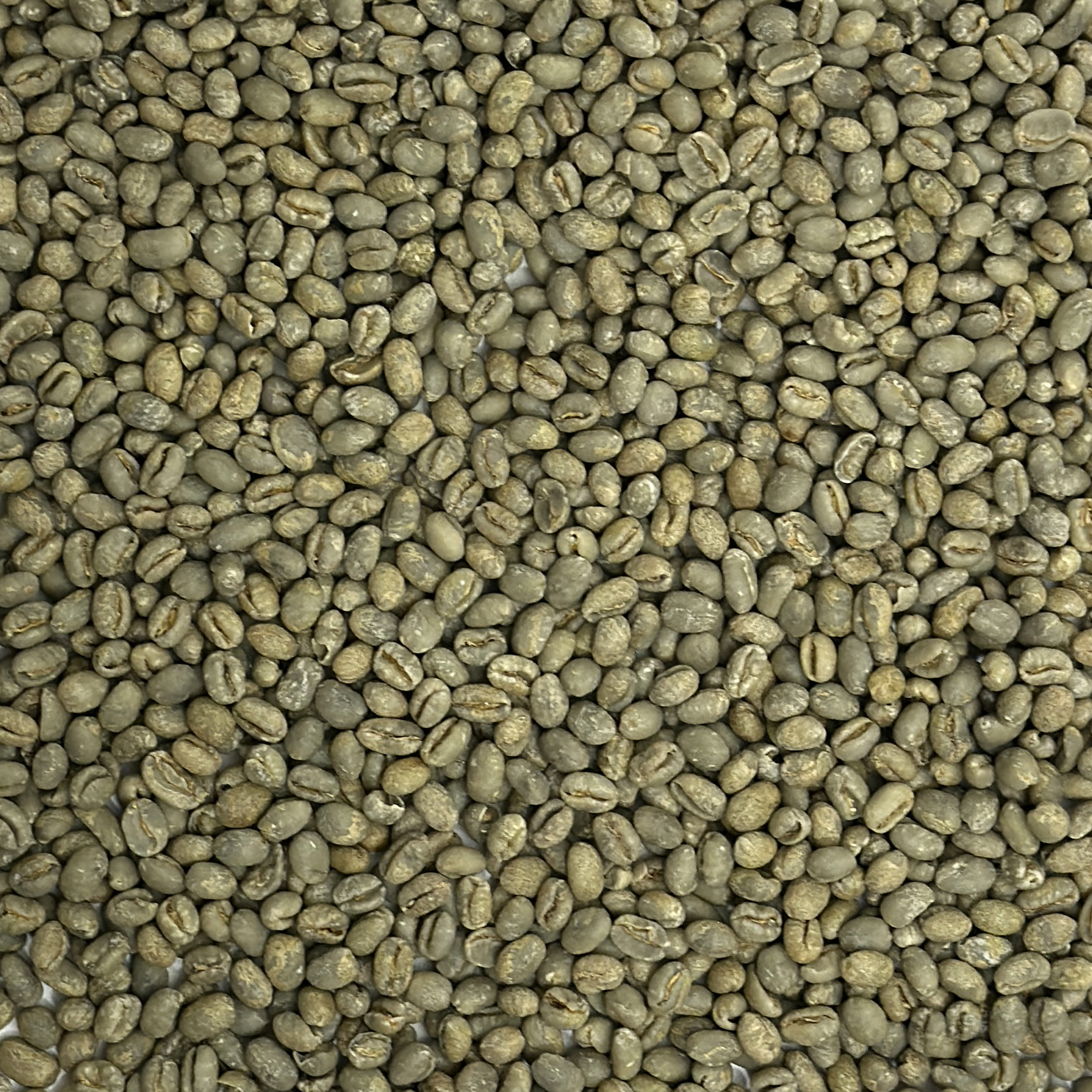 Brazil Bourbon Peaberry Daterra Estate "Pearl Bourbon" DATPEARLBBN