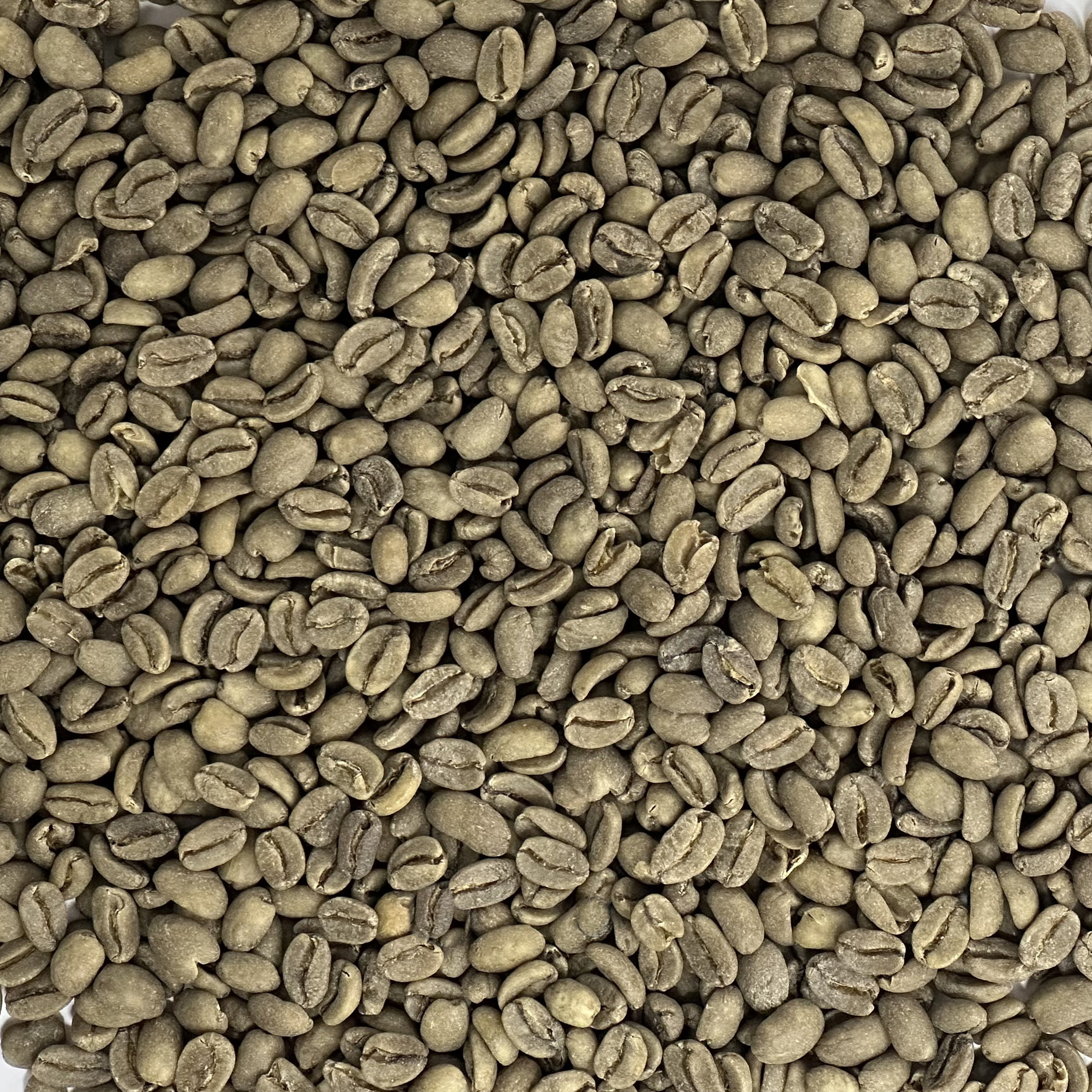 Papua New Guinea Organic Decaf Purosa FTO SWP