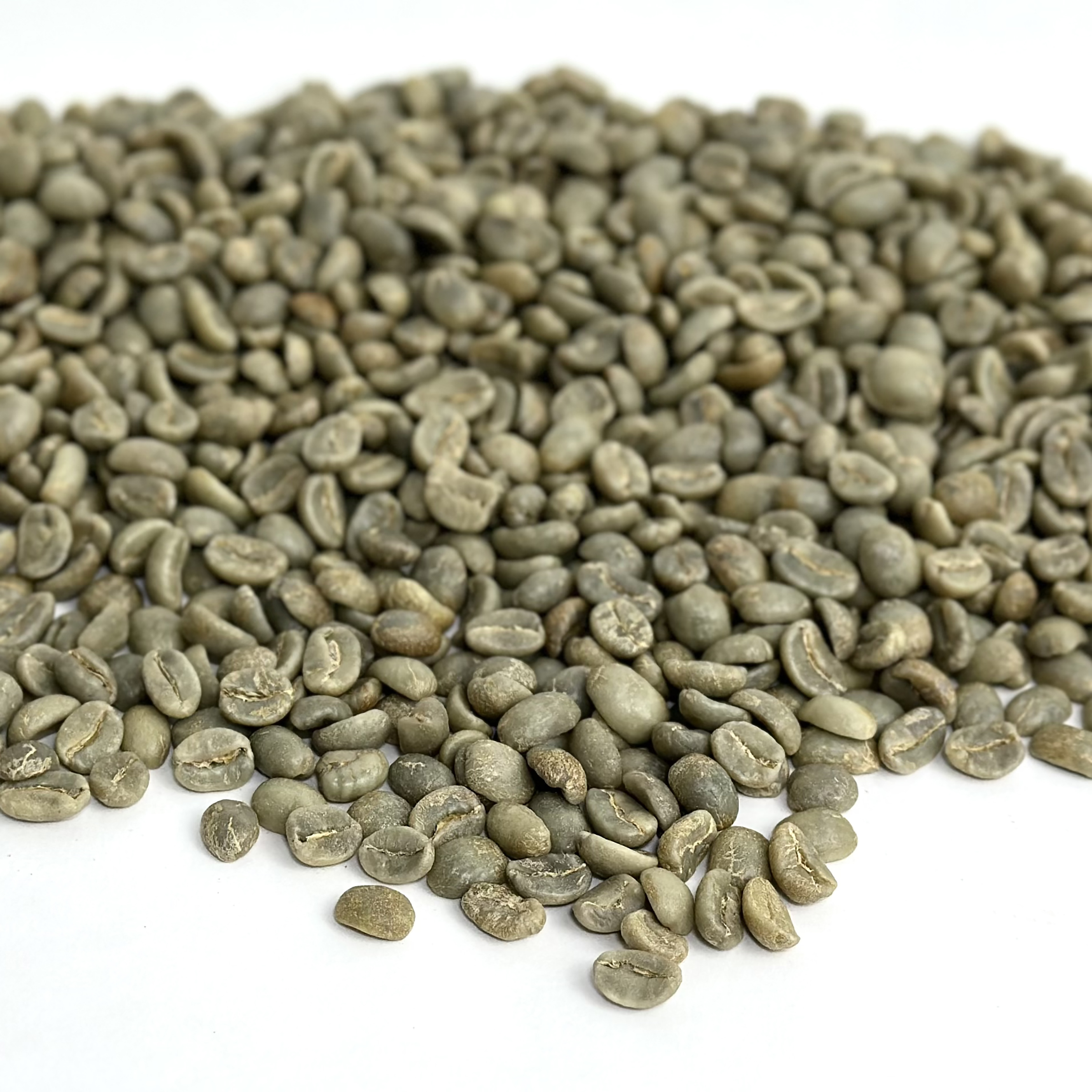 Honduras Organic - Marcala HONORGMARC