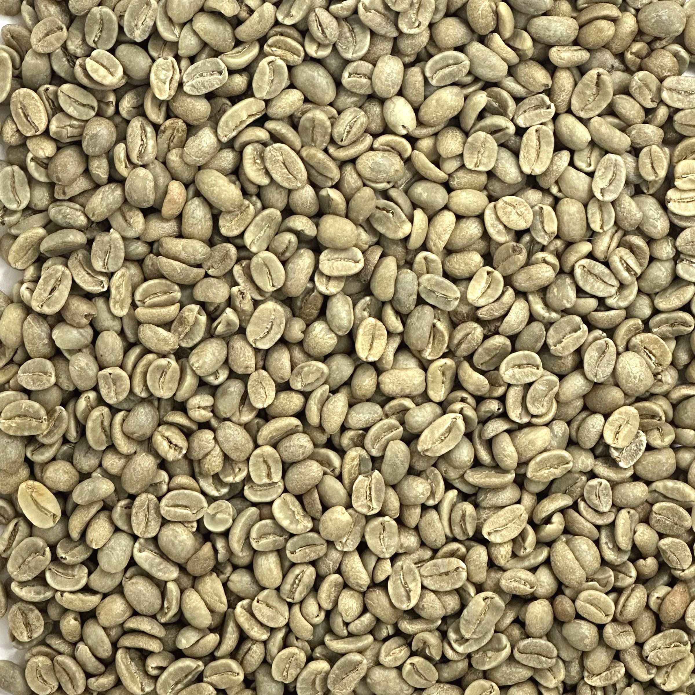 Peru Organic La Florida FTO