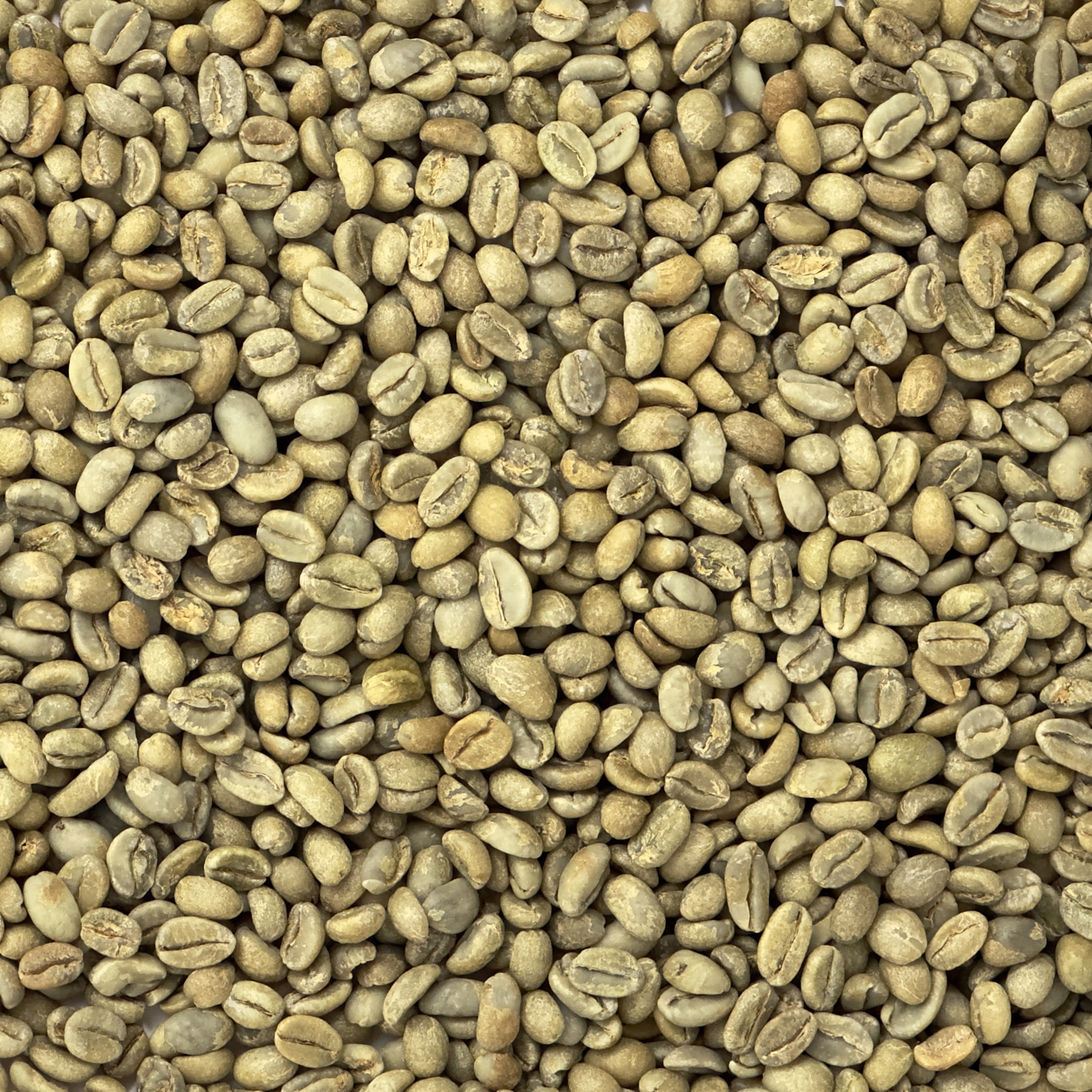 Ethiopian Organic Sidamo Shantawene Natural G1