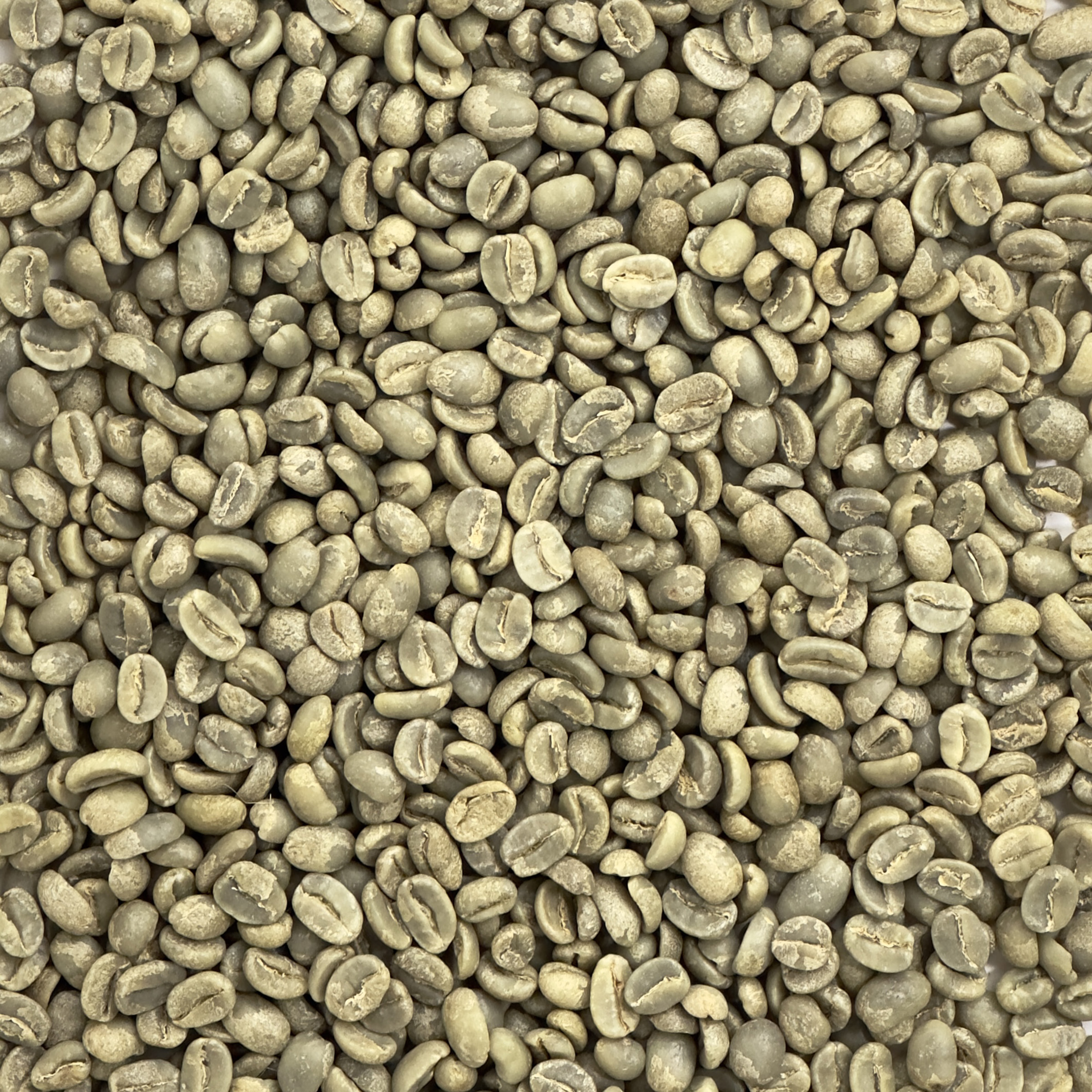 Ethiopia Gedeb Worka Sakaro Washed GR1