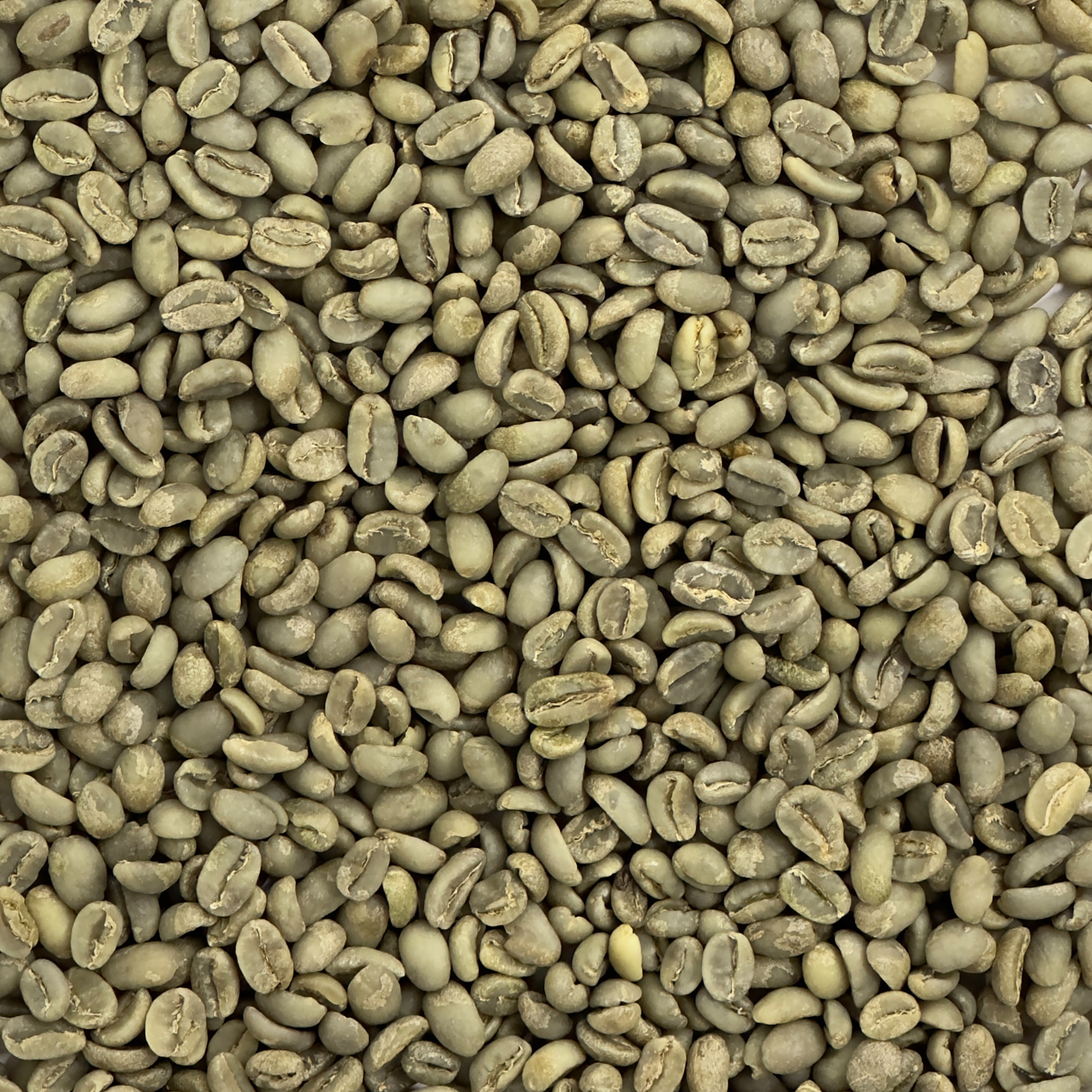 Ethiopian Yirgacheffe EthYerg