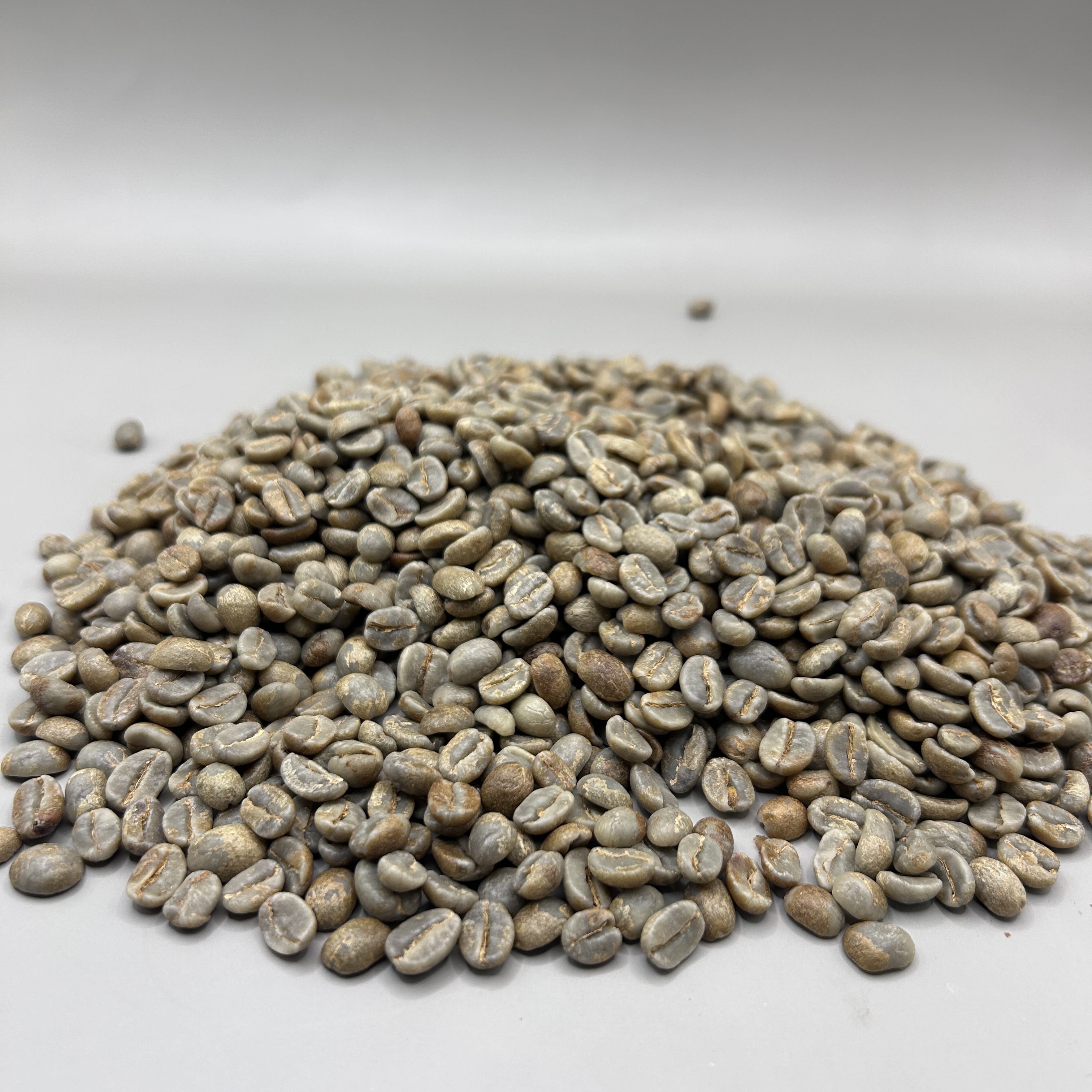 Costa Rica: Finca El Rinconcito Black Honey CRCONCITO