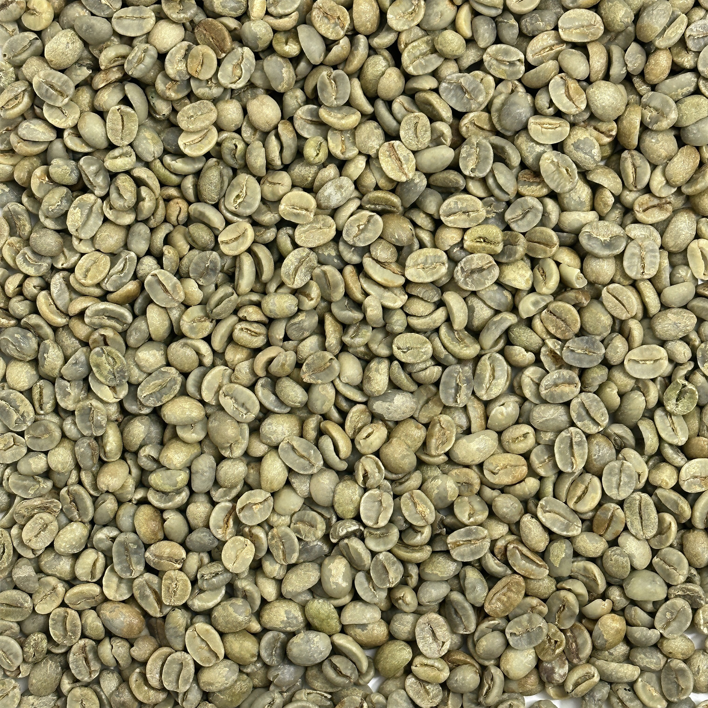 Brazil Organic Dutra Natural 14/16