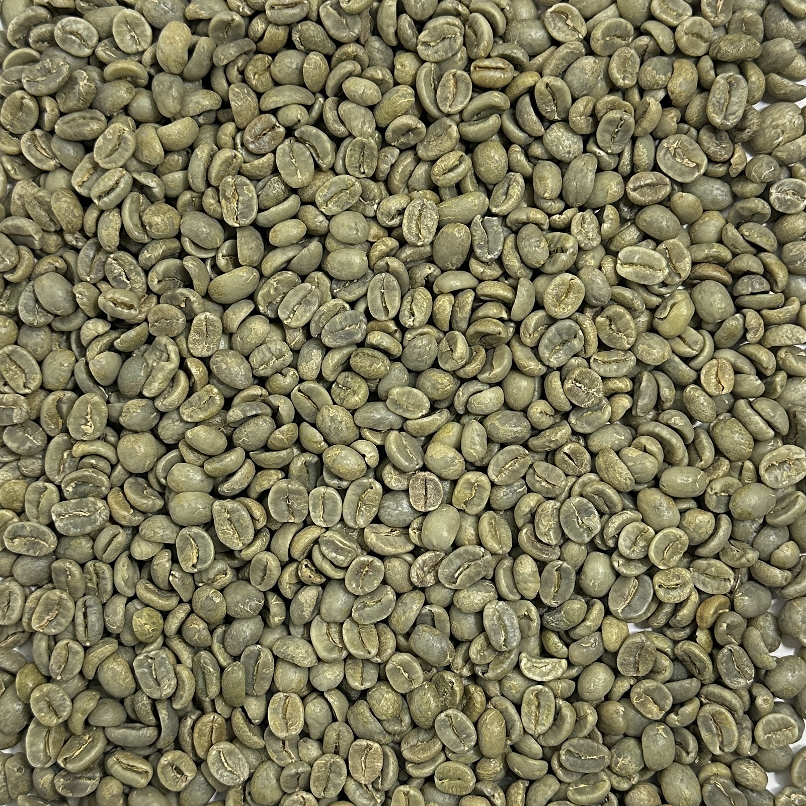 Costa Rica Organic - La Amistad CROrg