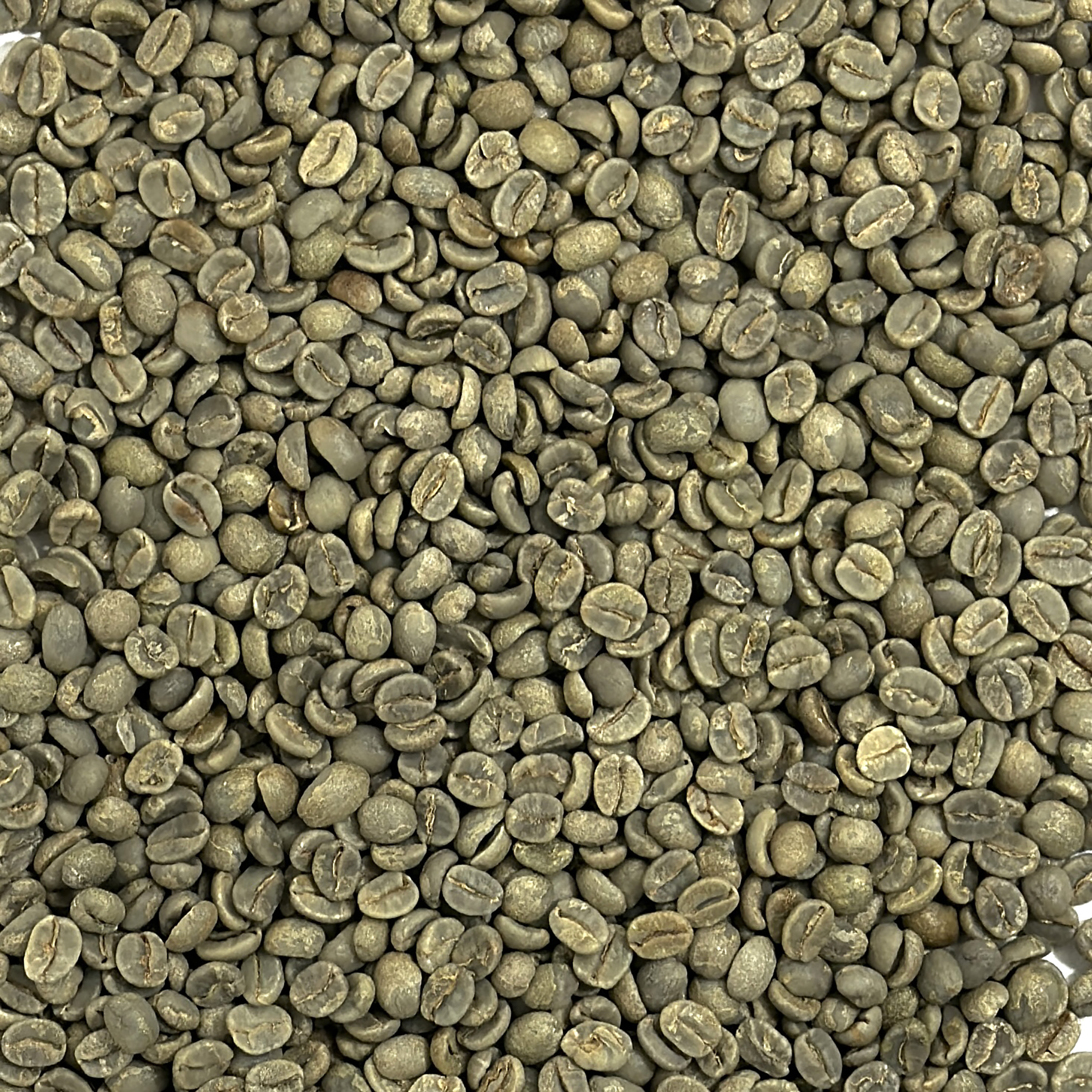 Brazil Sweet Blue Daterra Estate Copy DATBLUE