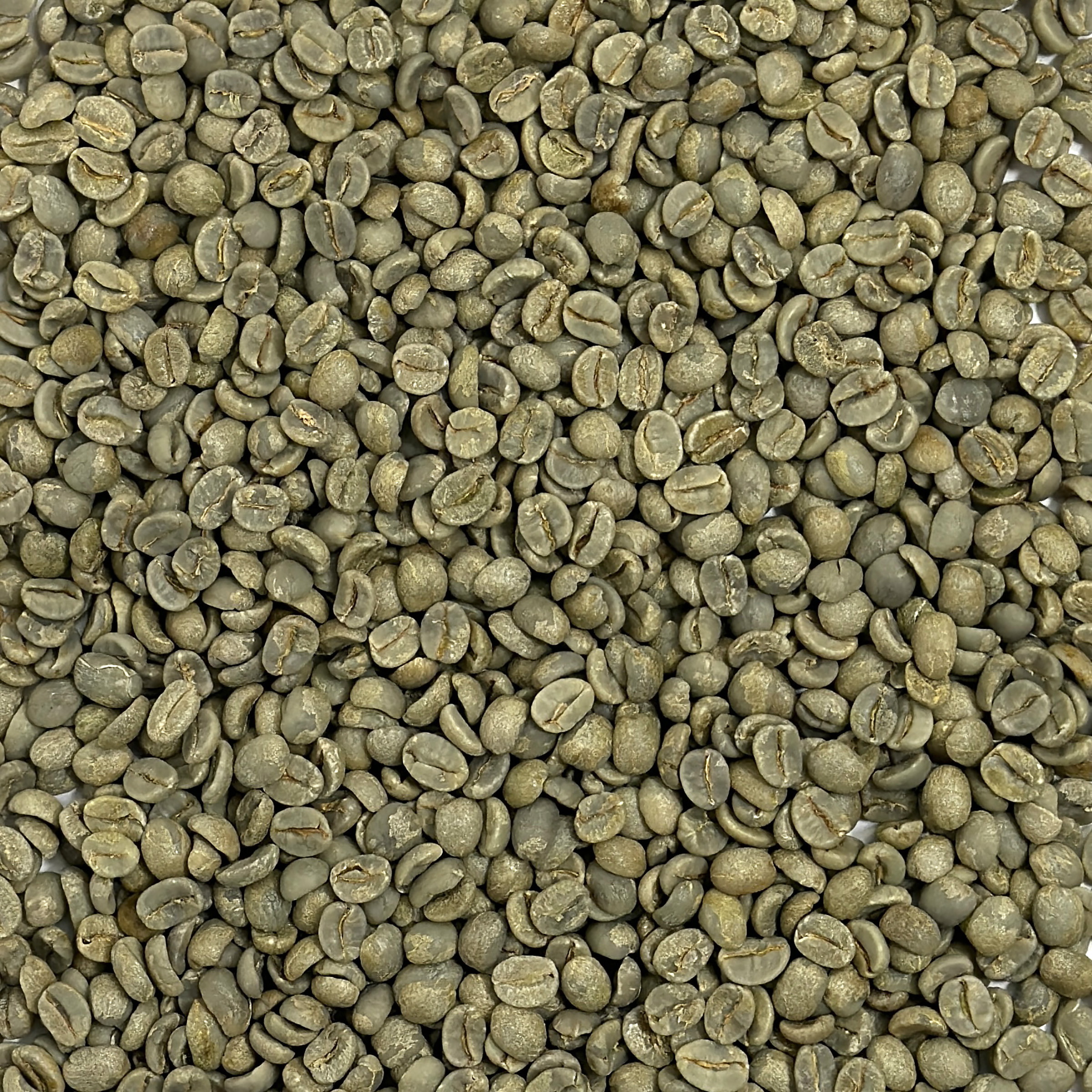 Daterra Espresso Blend "CHC" DATRESESP