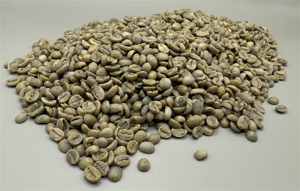 Vietnam: Son La SHG, Son La SONLAWASH