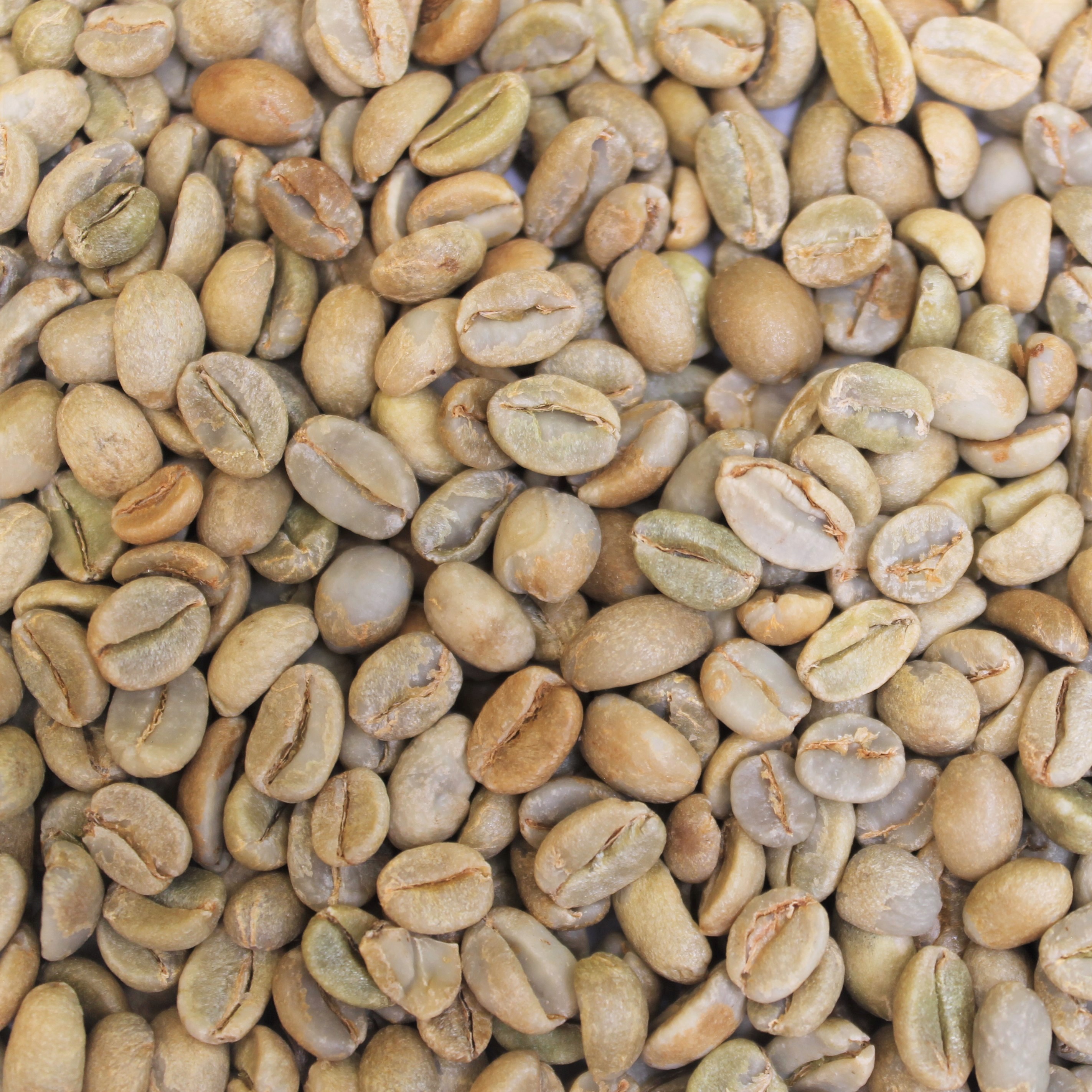 Red Sea CBC Blend