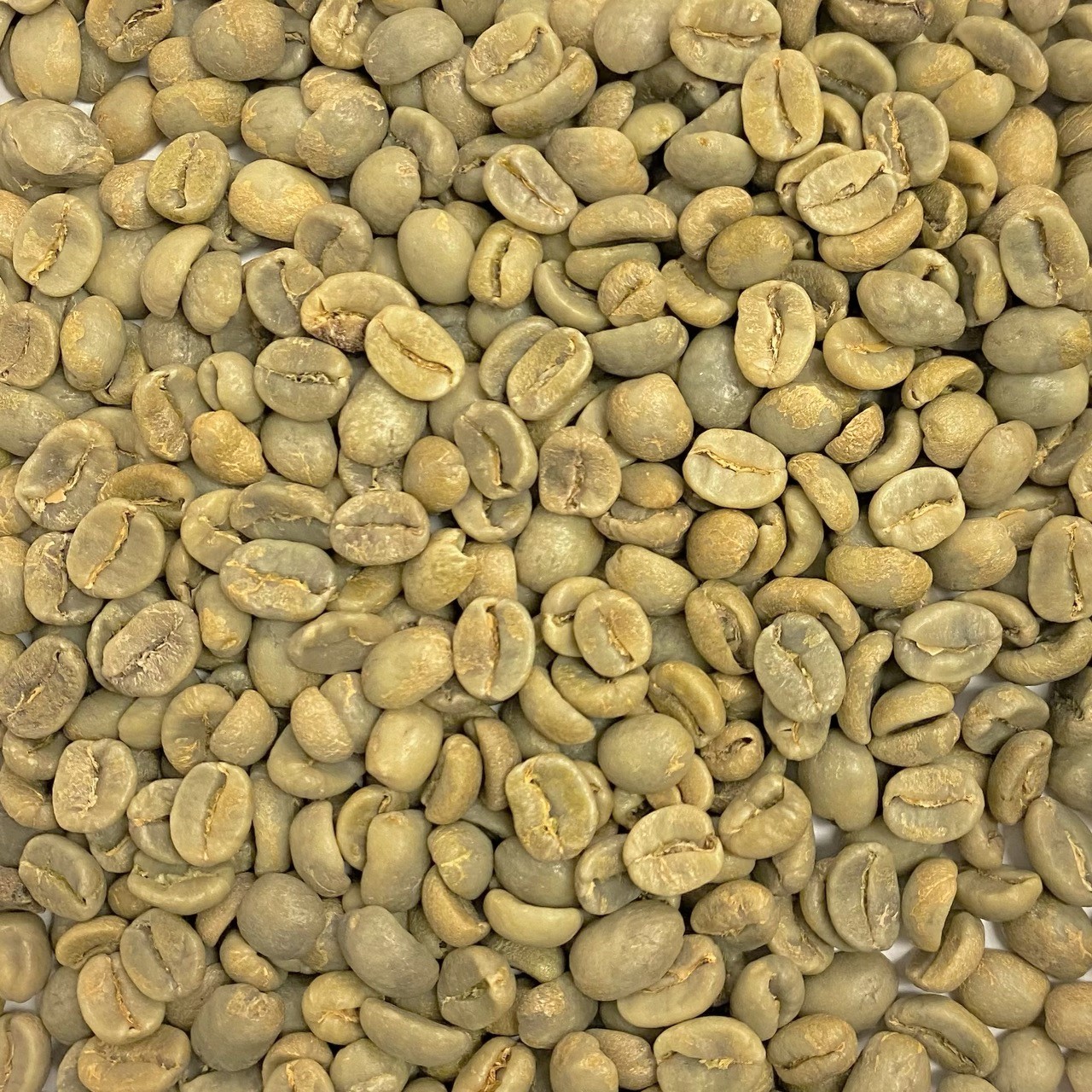 Costa Rica Organic - La Amistad CROrg
