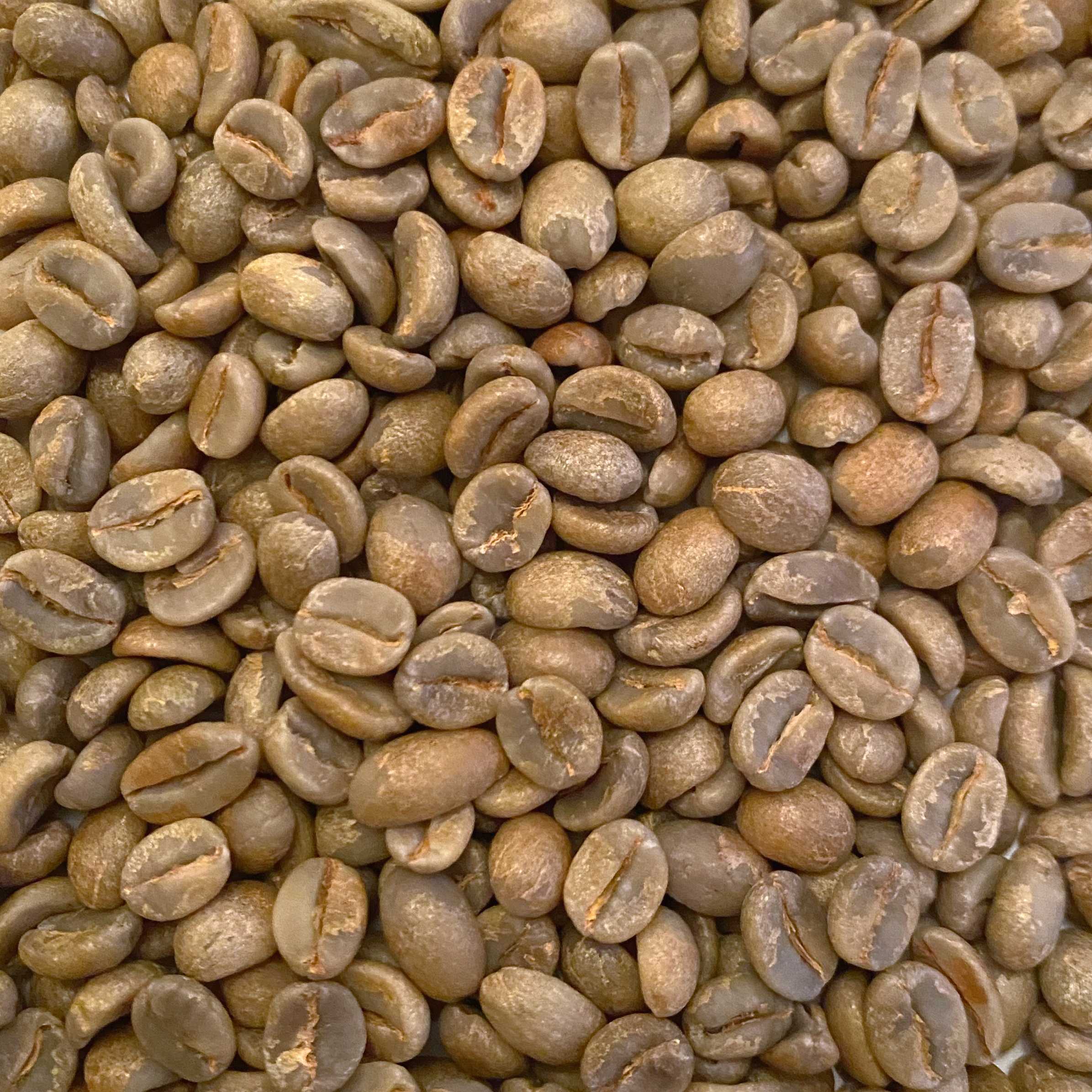 El Salvador Finca La Siberia Red Bourbon Natural