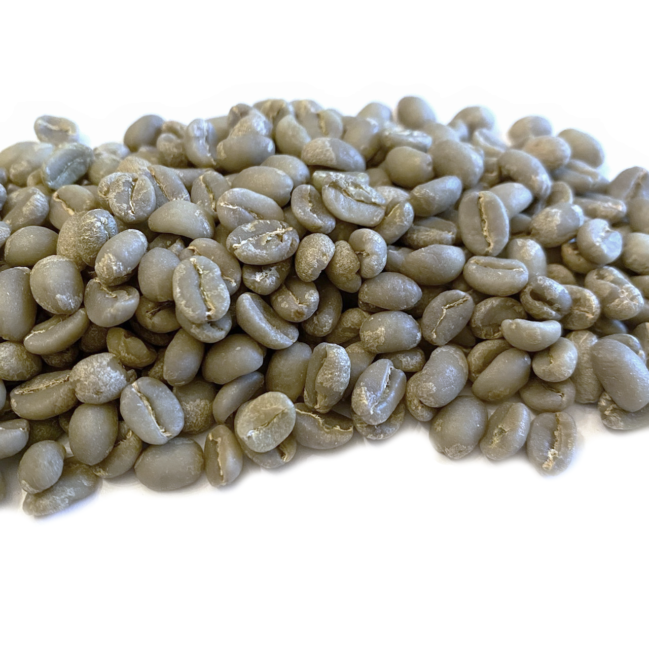 Ethiopia Gedeb Worka Sakaro Washed GR1