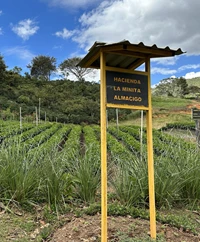 Hacienda La Minita Farm
