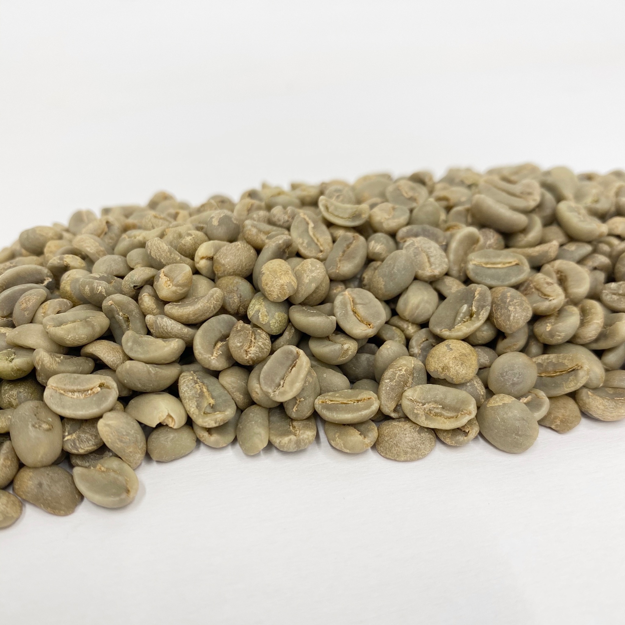 Honduras Kingdom Growers