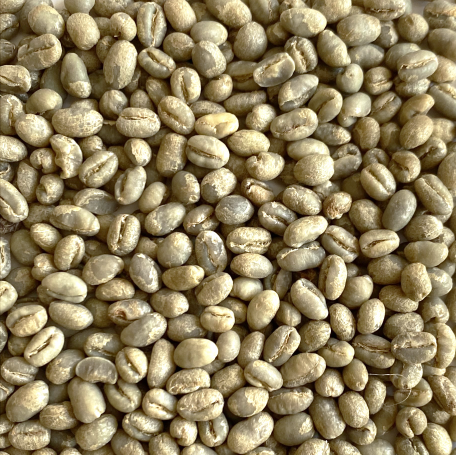 Kenya Peaberry Plus 15/16