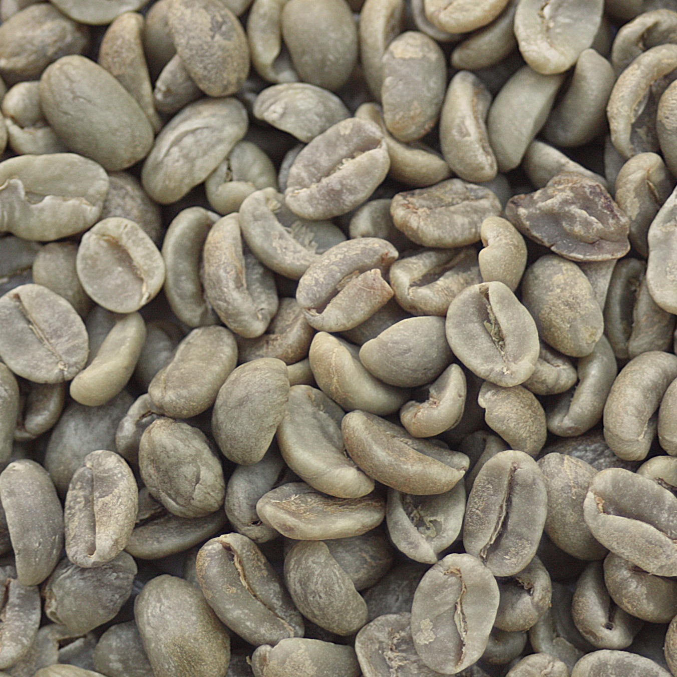Java Estate Kayumas