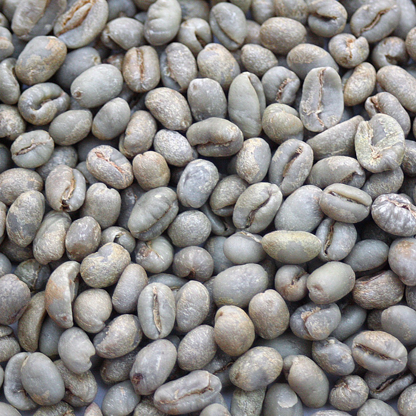 Brazil Bourbon Peaberry Daterra Estate "Pearl Bourbon" DATPEARLBBN