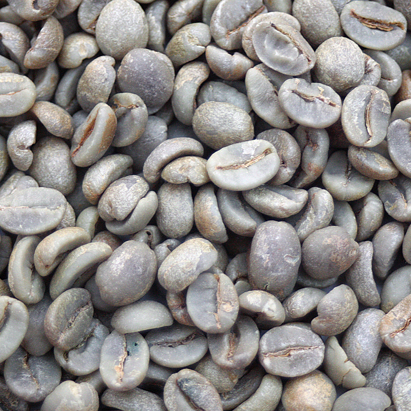Brazil Natural Cerrado - 17/18 Screen - Coffee Bean Corral