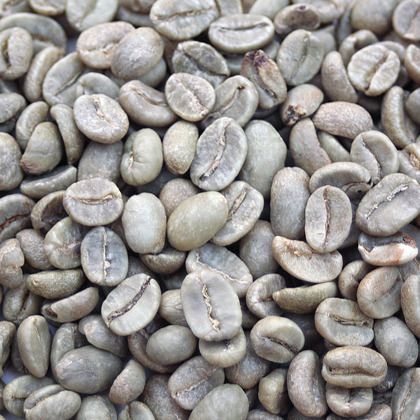 Colombia Excelso E.P. - Huila COLEXCHUILA