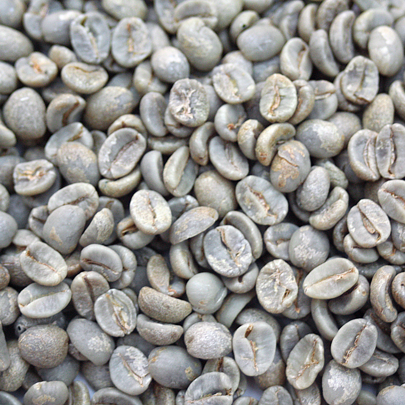 Images/coffeebags/DaterraEstate-SweetYellow-200x275.jpg