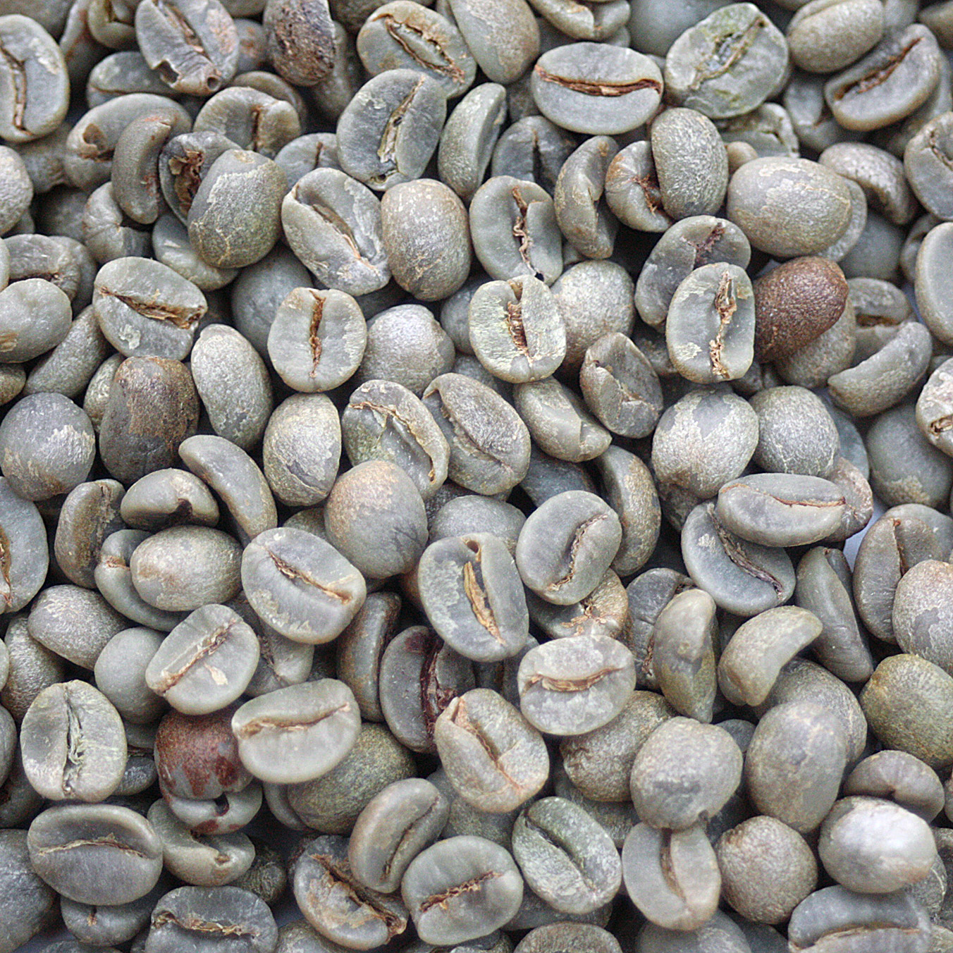 Brazil Fazenda Lagoa Natural 17/18 BRALAGOA