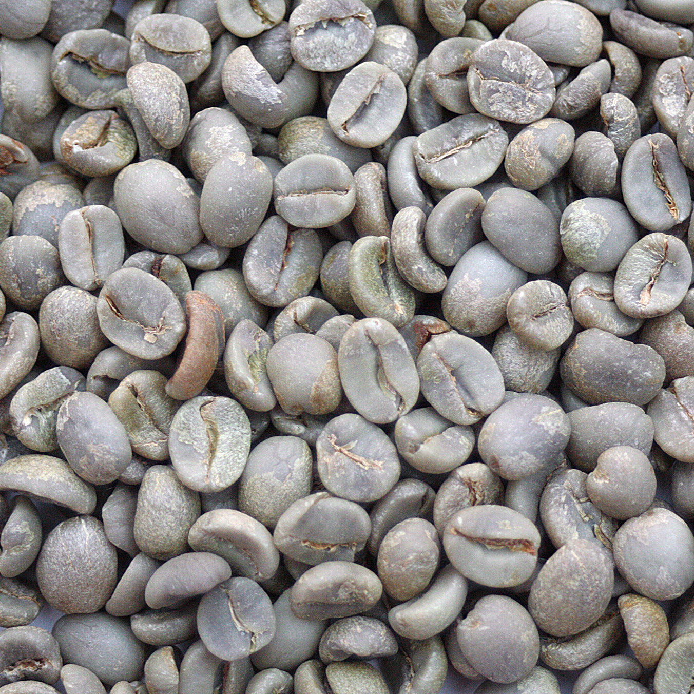 Daterra Espresso Blend "CHC" DATRESESP