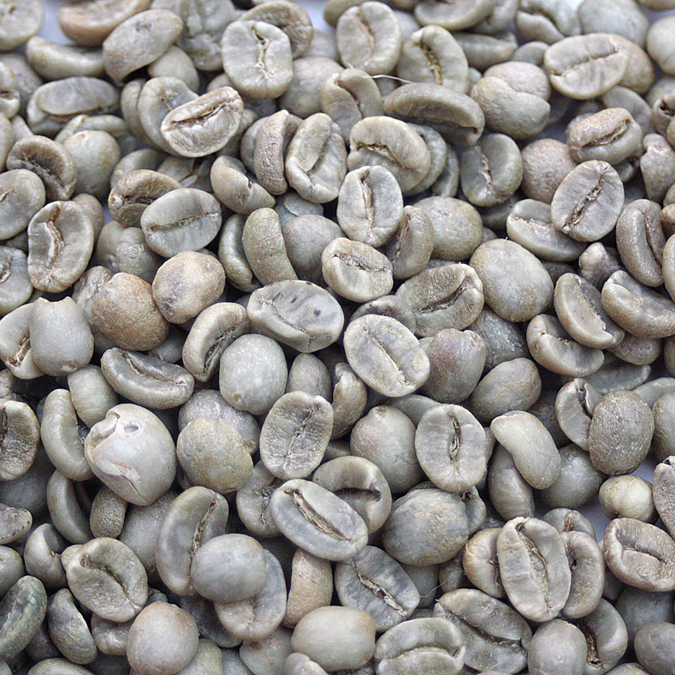 Costa Rica Hacienda Rio Negro Coto Brus