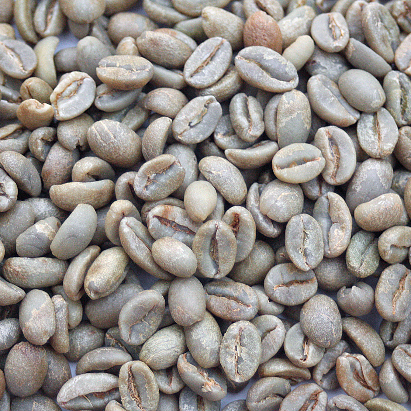 Ethiopia Mokamba Natural