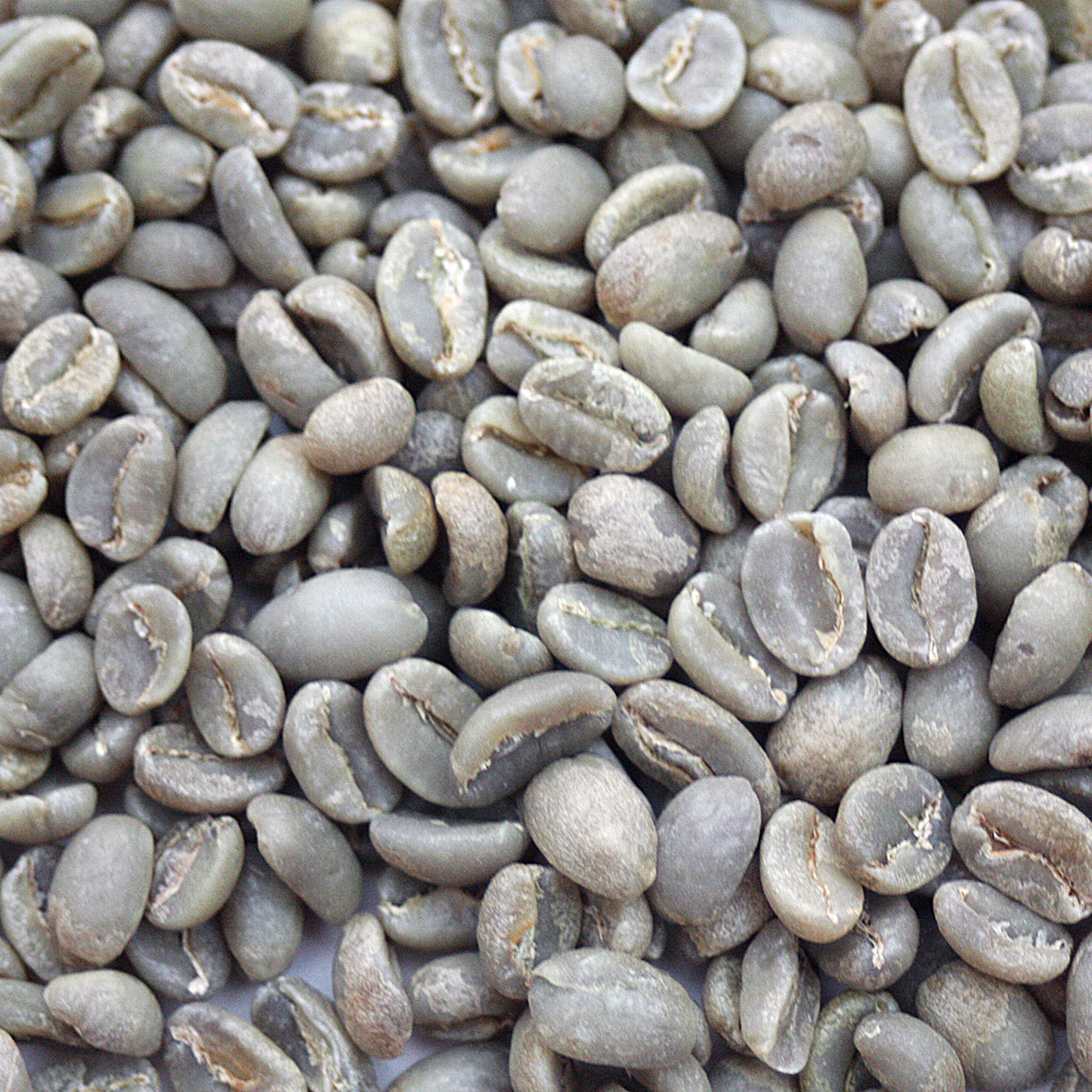 Ethiopian Yirgacheffe EthYerg