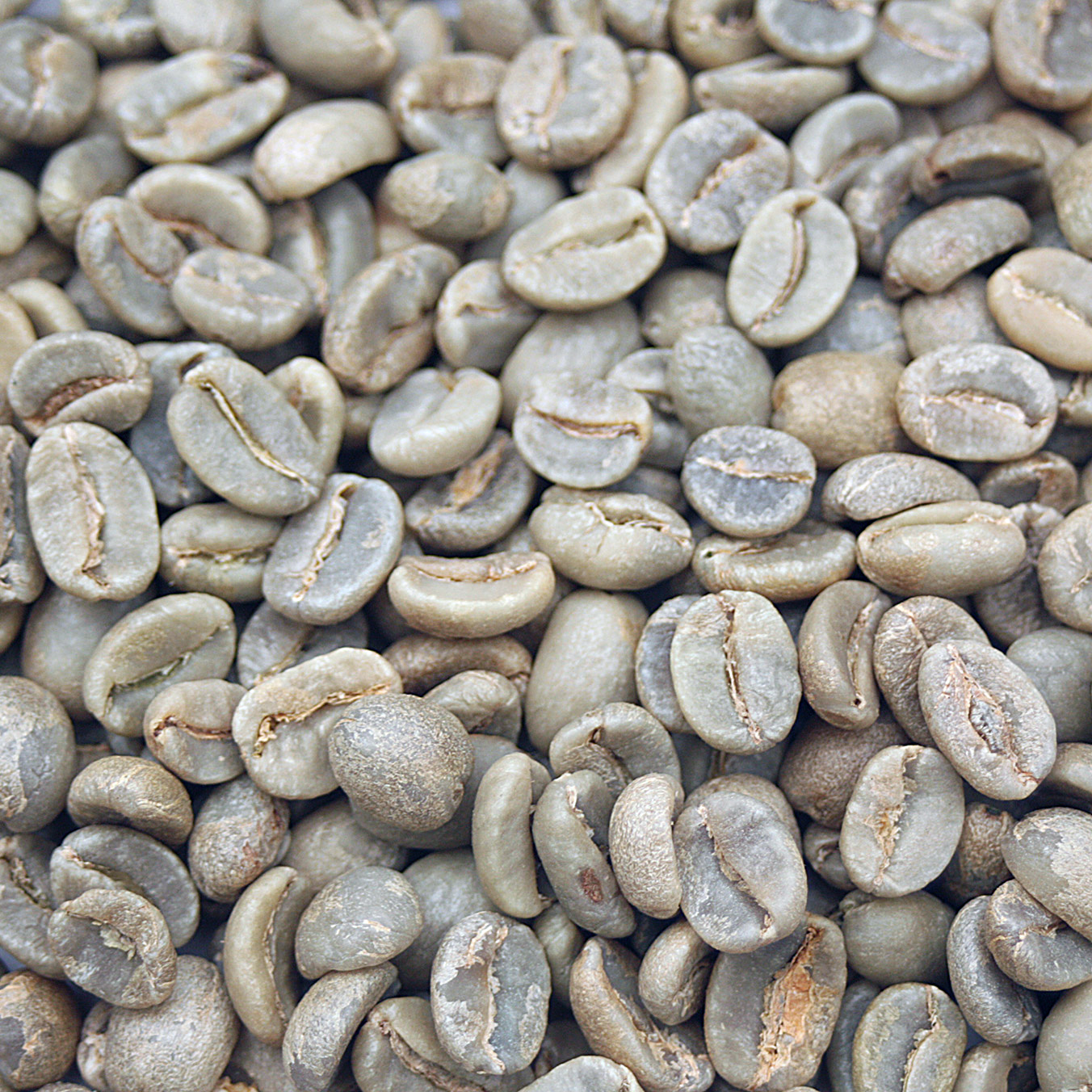 Highlands Blend