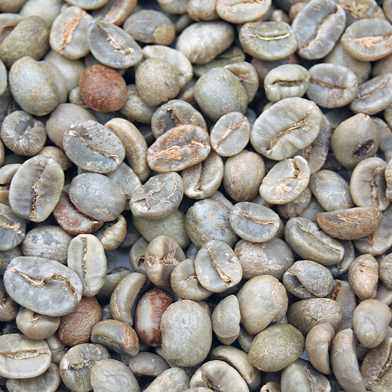 Four Horsemen Blend