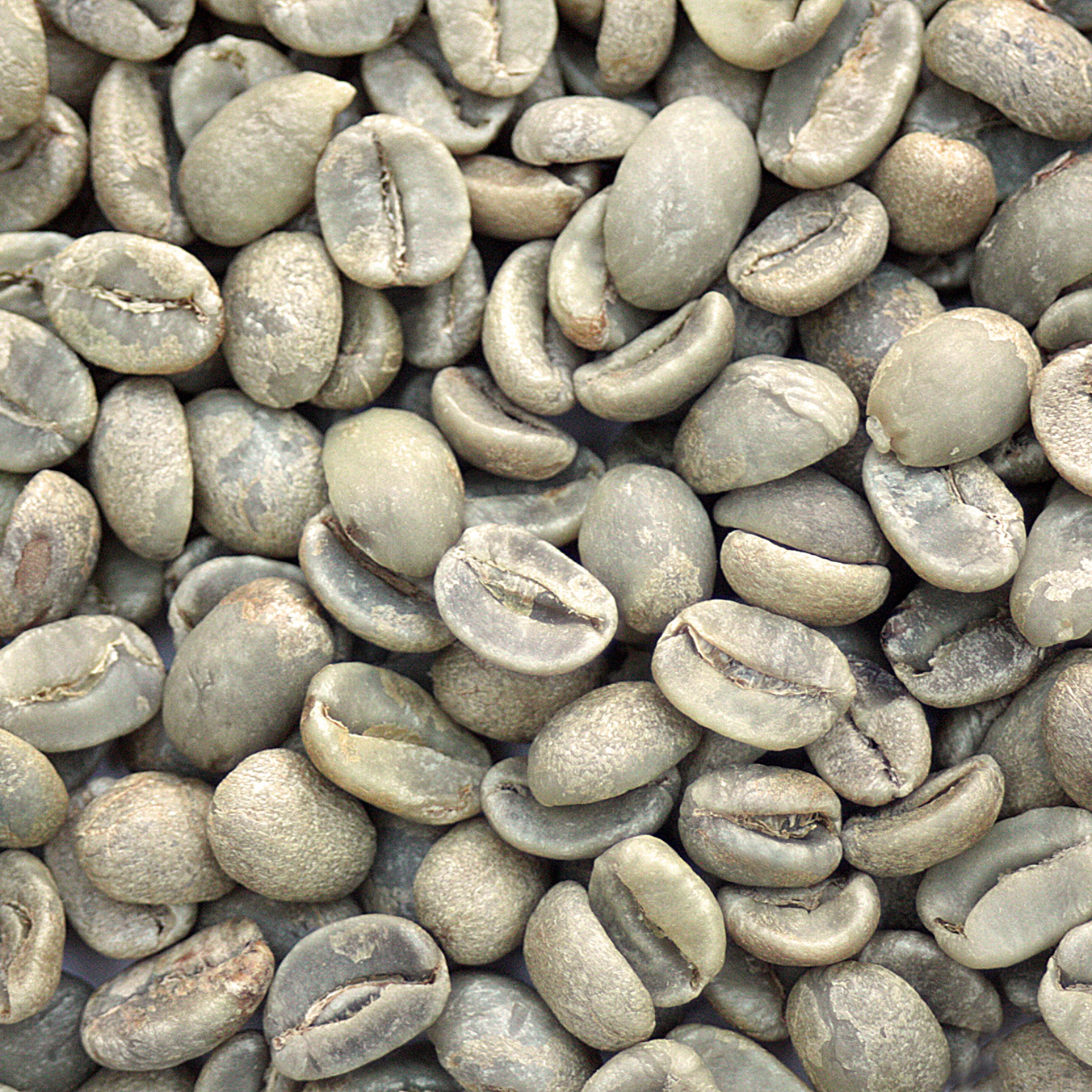 Dominican Republic Ramirez Estate DOMRAMZORG