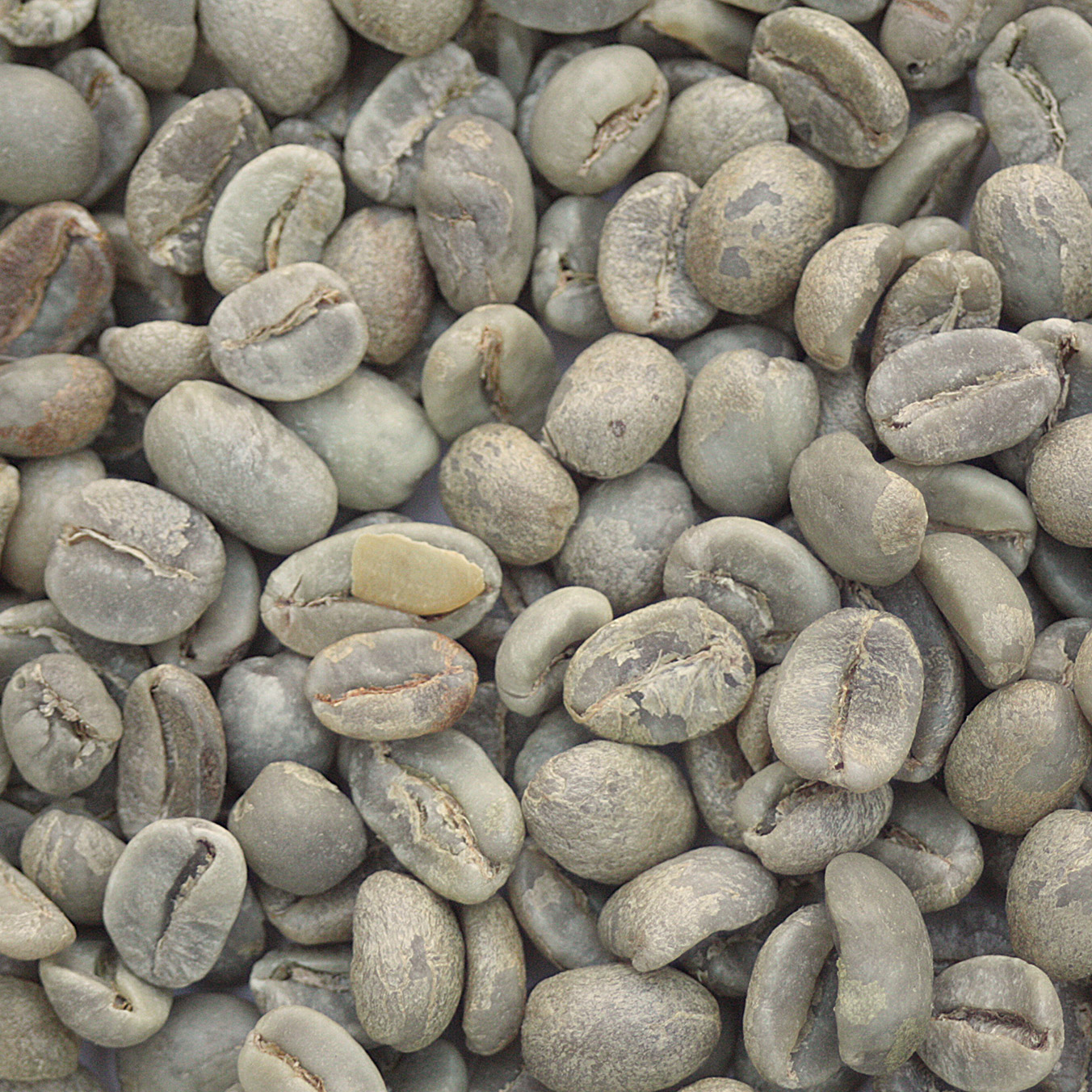 Organic Guatemala Huehuetenango coffee beans - FT GHO