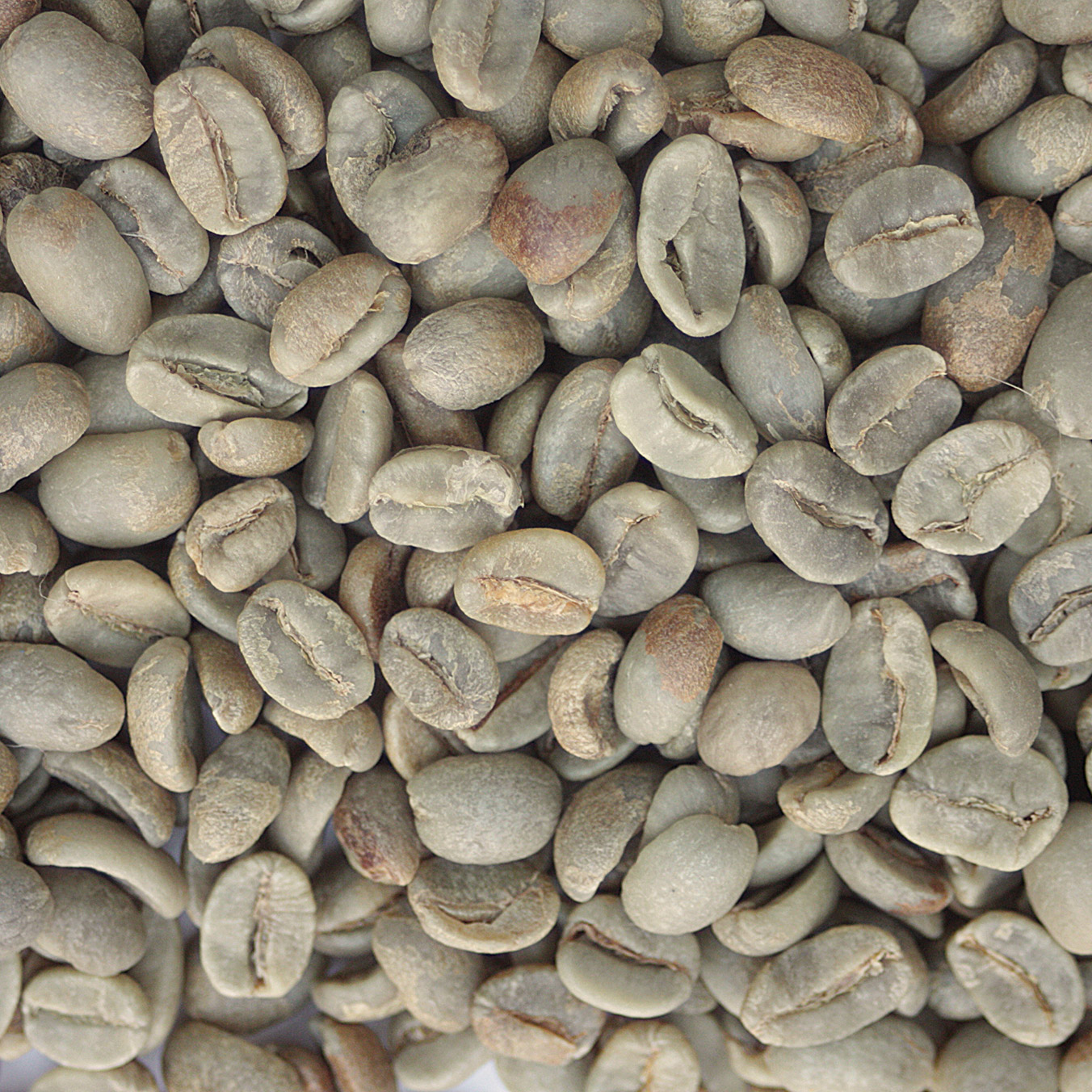 Mexican Organic - Chiapas - FT MEXORGCHIAPAS