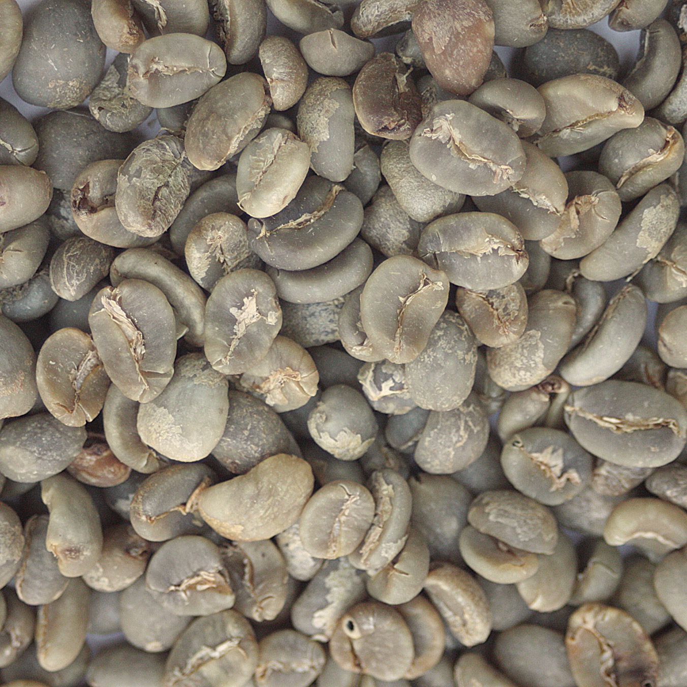 Sumatra: Organic Mandheling, Aceh SUMOMAND