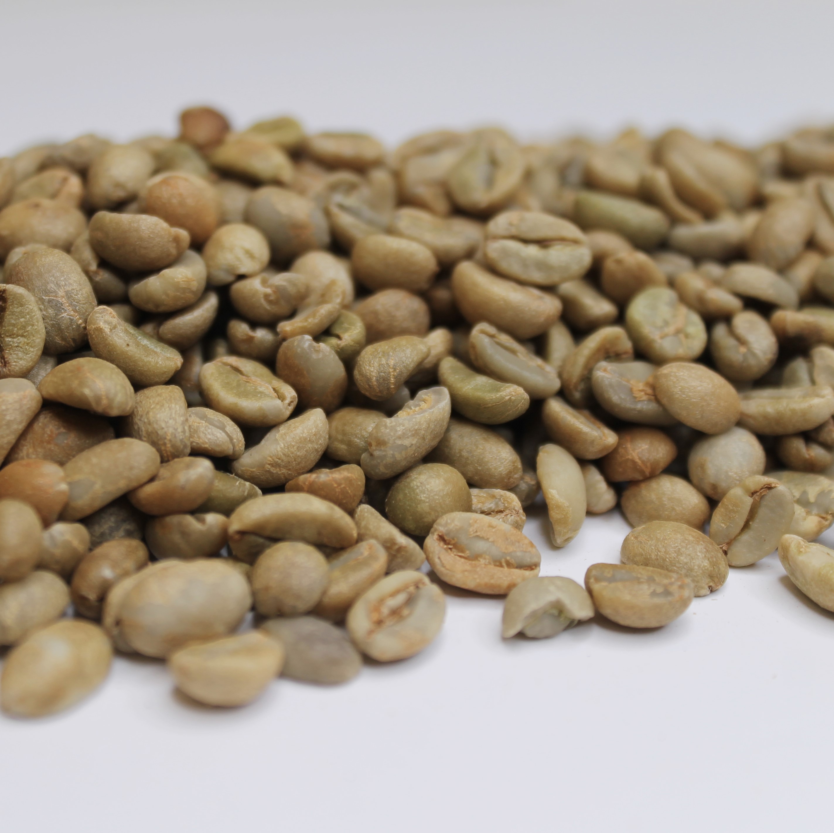 Red Sea CBC Blend